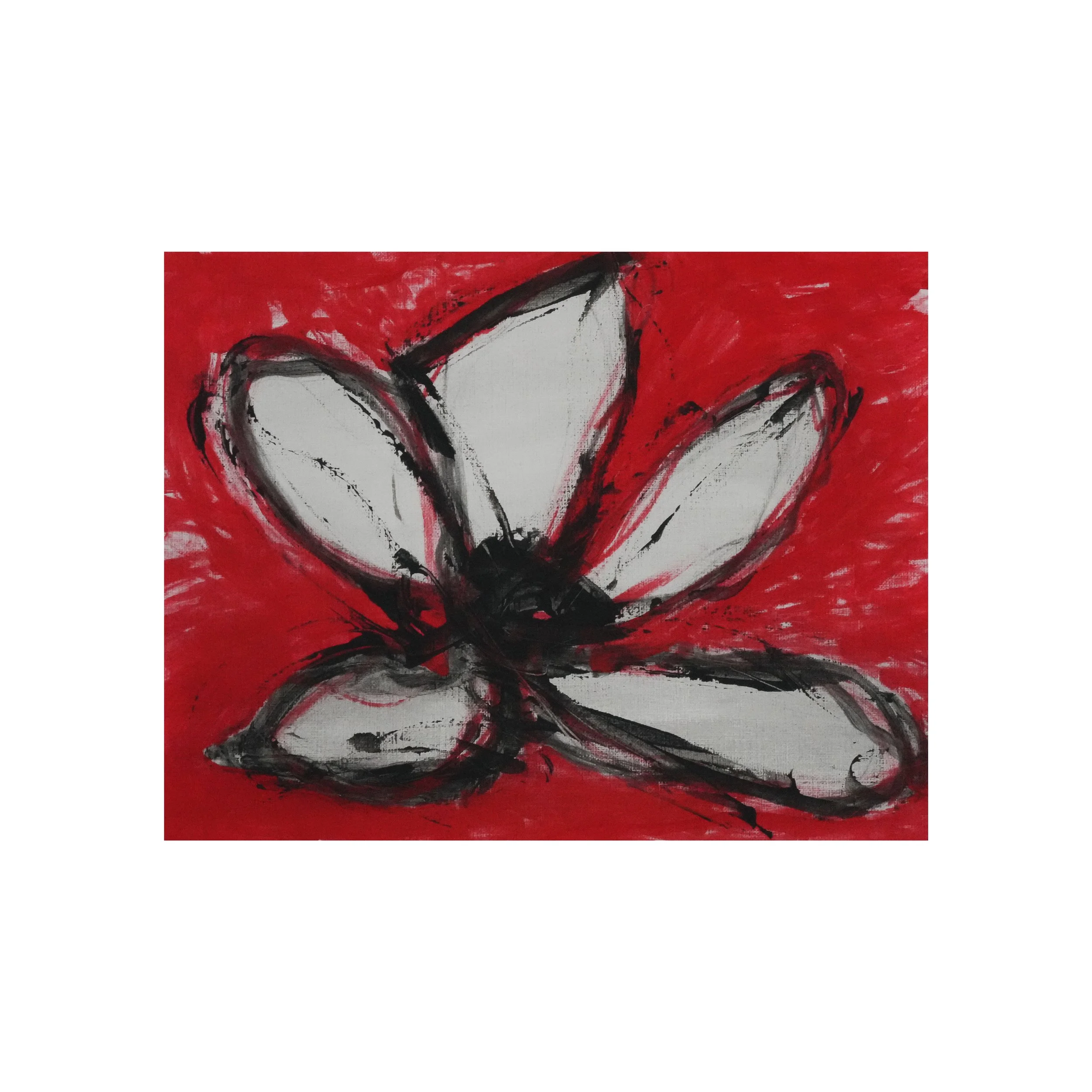 A New Bloom - White Display.JPG