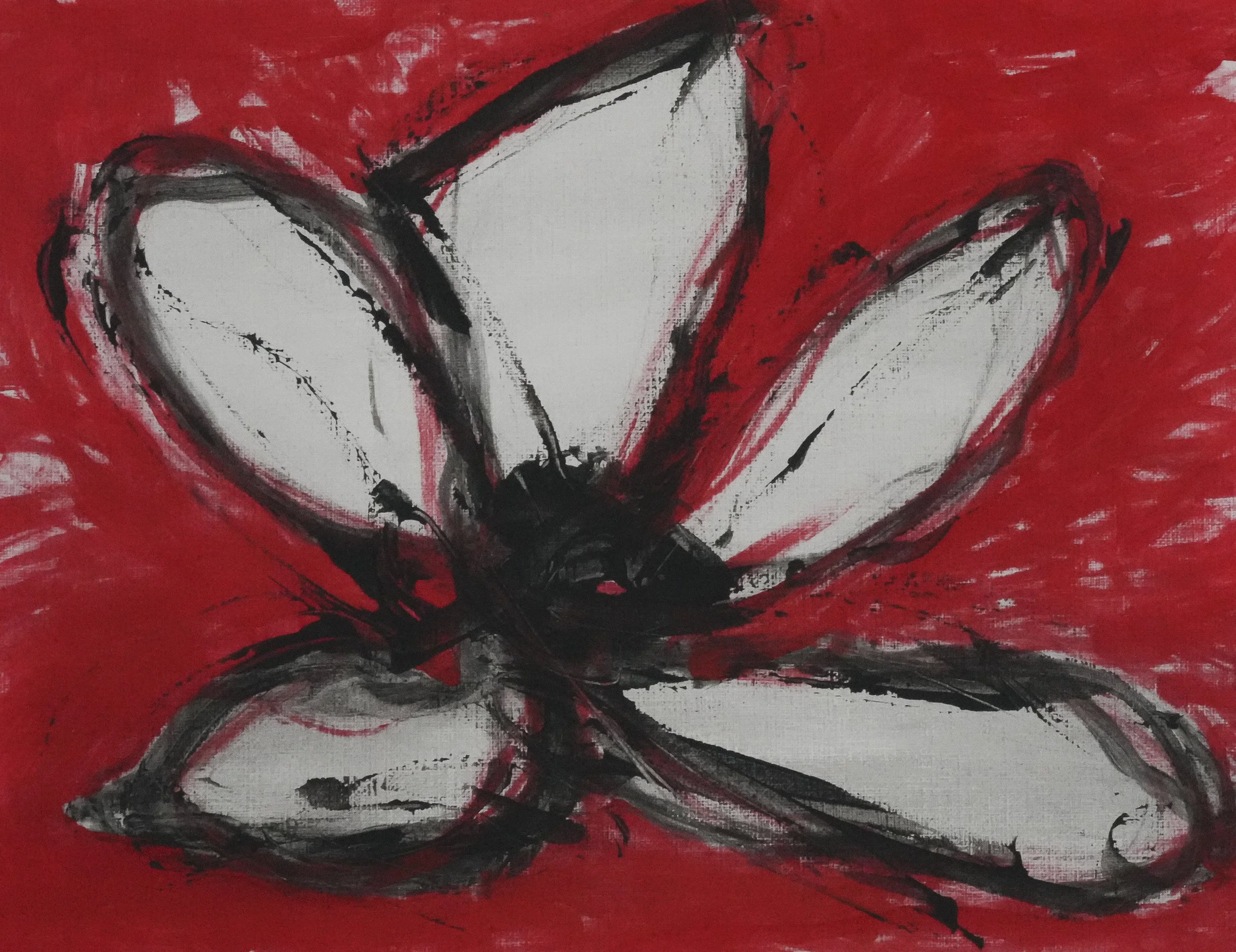 A New Bloom.jpg