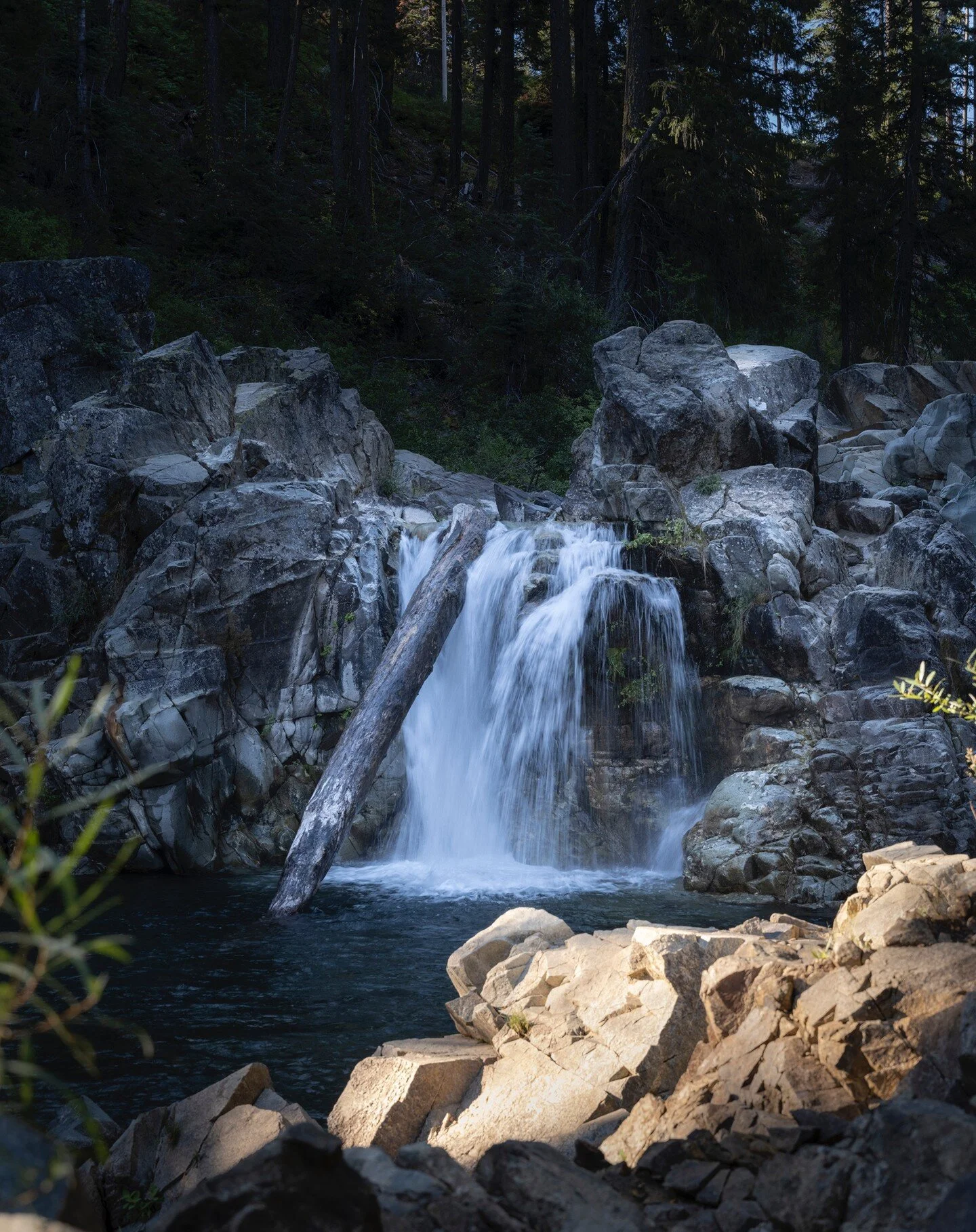 Morning Hike to the swimming hole. Waterfall on Jamison Creek....

Medium Format Digital Capture, handheld at 10th of second. Fuji GFX 100S

#lostsierra #jamisoncreek #plumas #waterfalls #nature #naturephotography #landscapephotography #plumascounty 