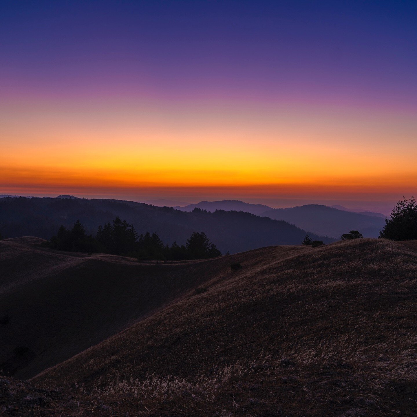 Sunset in West Marin....

No filter, just a 100 Megapixel Med Format dream camera. Test driving the Fuji GFX 100S - amazing camera. 

#fujifilm #fujigfx #fujigfx100s #sunsetphotography #sunset #mediumformat #westmarin