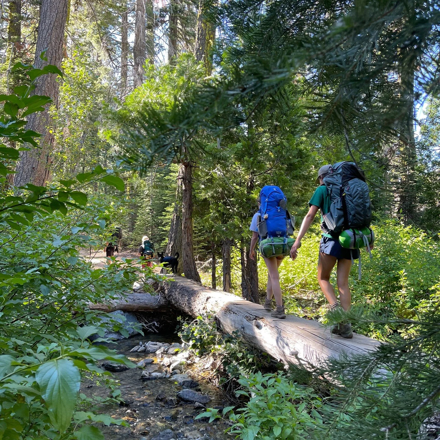 Missing the weekend already.... took some teenagers backpacking in the lost sierra... Amazing! 

#lostsierra #backpacking #kidsinthewoods #mcnab #mcnabdog #somewherelostinthewoods #camping #backcountry #backcountrycamping @lolamccourtney @kaiayudice 