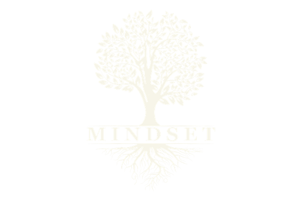 Sea Spark Creative Client - Mindset NJ
