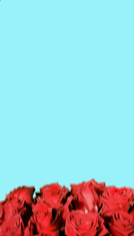 Feb-28-2025 16-50-24.gif