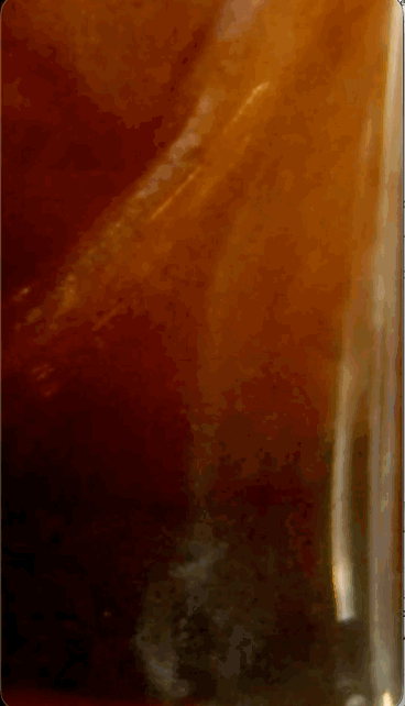 Aug-18-2026 10-25-48.gif