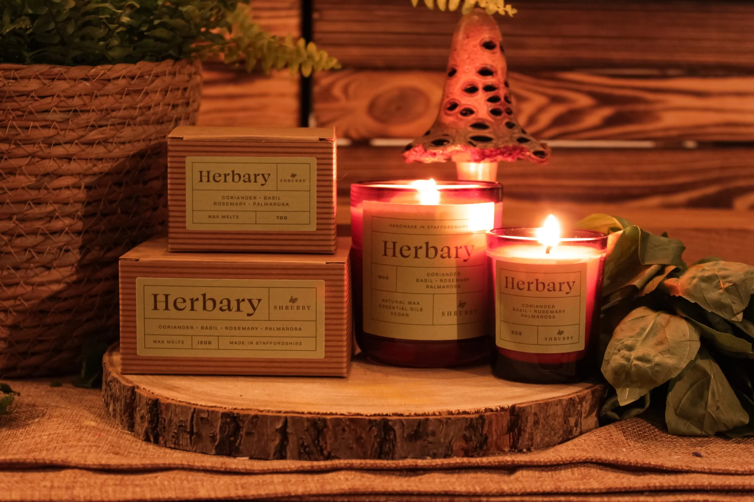 Final Herbary Collection.JPG