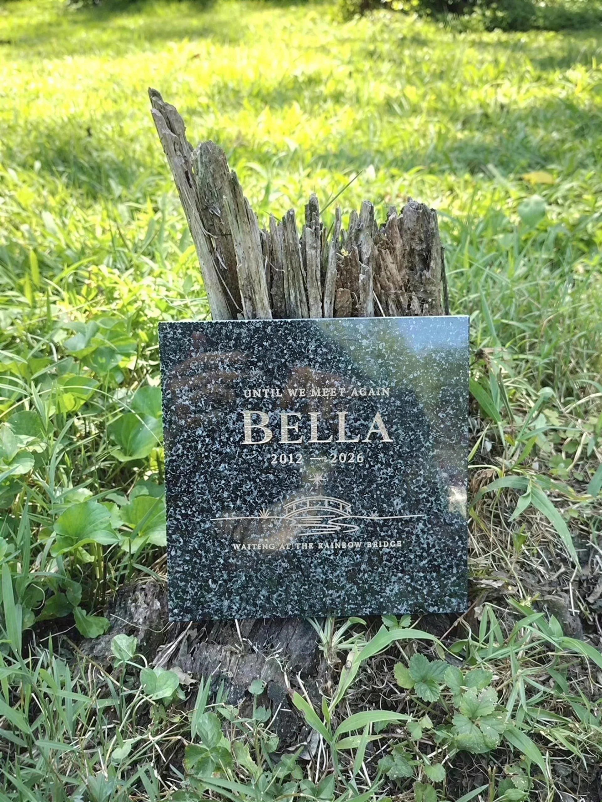 Granite pet memorial stone 6x6 with gold infilled fonts engraved