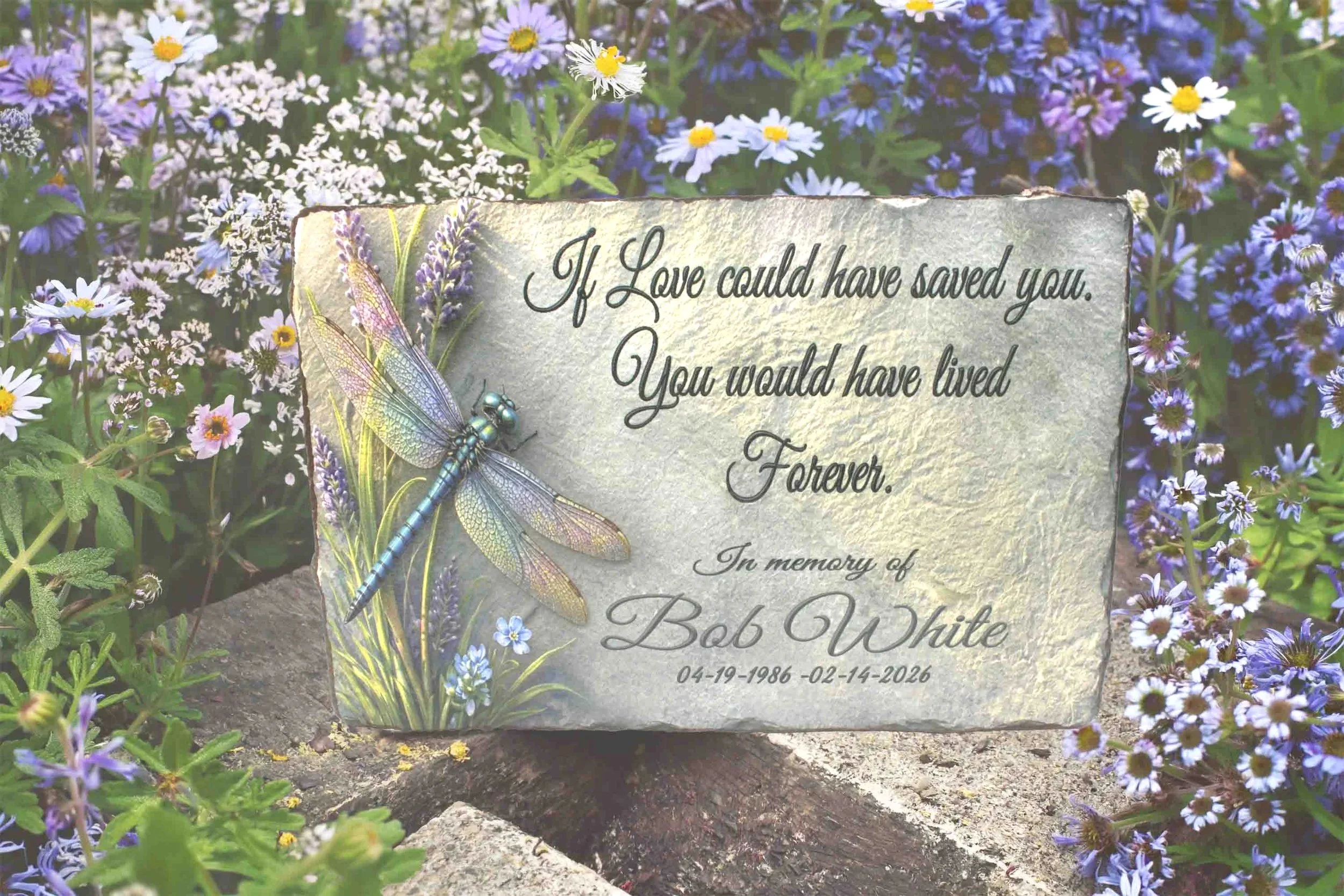 Dragonfly+3+font.jpg