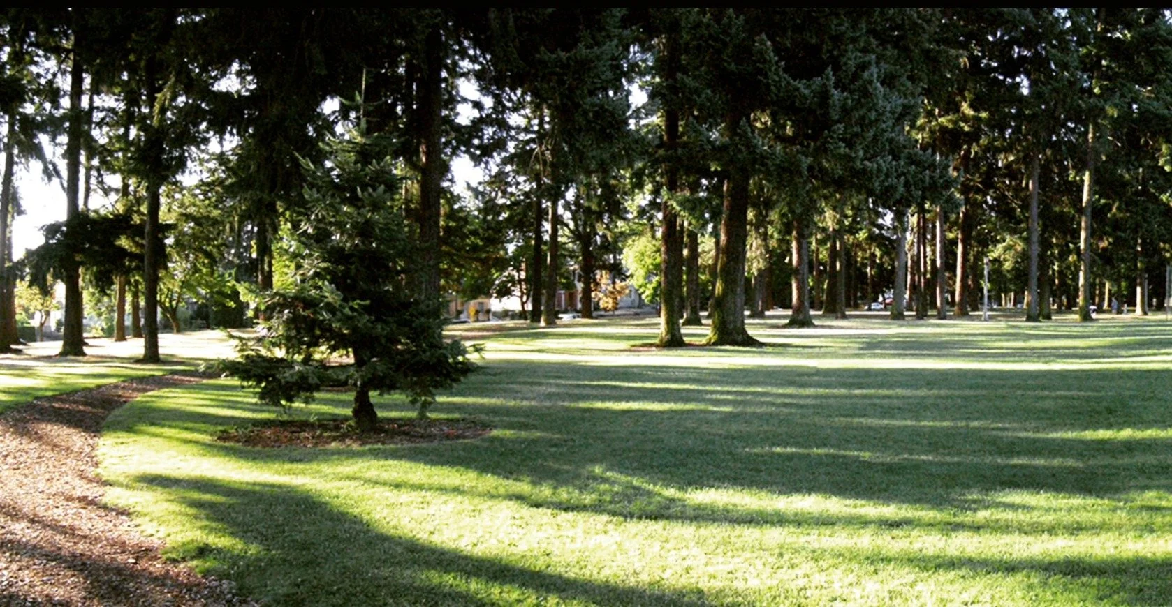 Vernon Neighborhood Association meeting, Wednesday, July 9th., 6:30-8
Center of Joy, 5421 NE 14th Pl, Portland, OR 97211
Post by Dusty