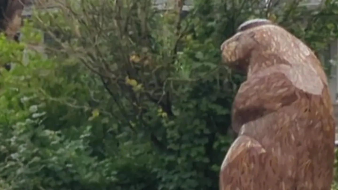 Tonight! Vernon Neighborhood Association (VNA) meeting: 6:30 at Center for Joy , 5421 NE 14th Place. See you there!
Post by Dusty