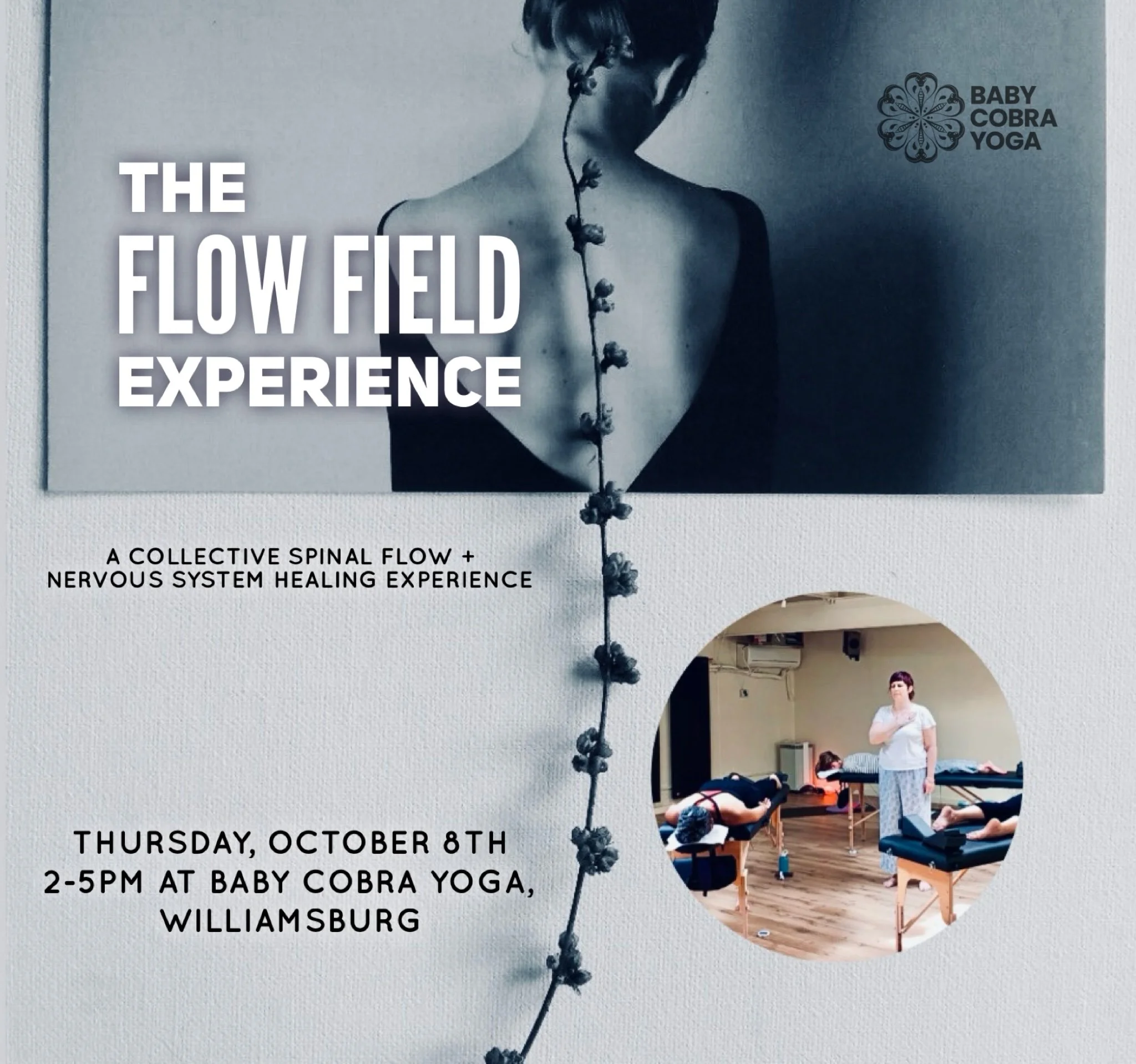 A group Spinal Flow Experience in Brooklyn
