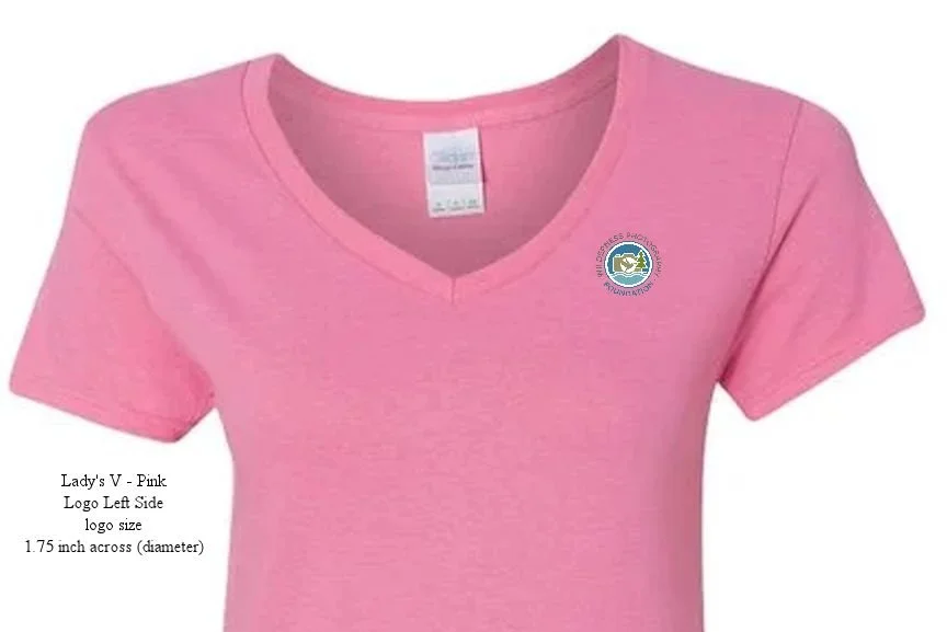 Lady's V-Neck T-Shirt - Pink