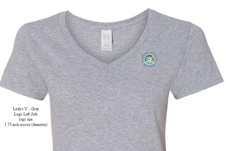 Lady's V-Neck T-Shirt - Gray