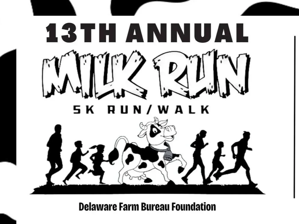 A flyer for the 13th annual Milk Run, a 5K run/walk event organized by the Delaware Farm Bureau Foundation, featuring a cartoon cow running with children.