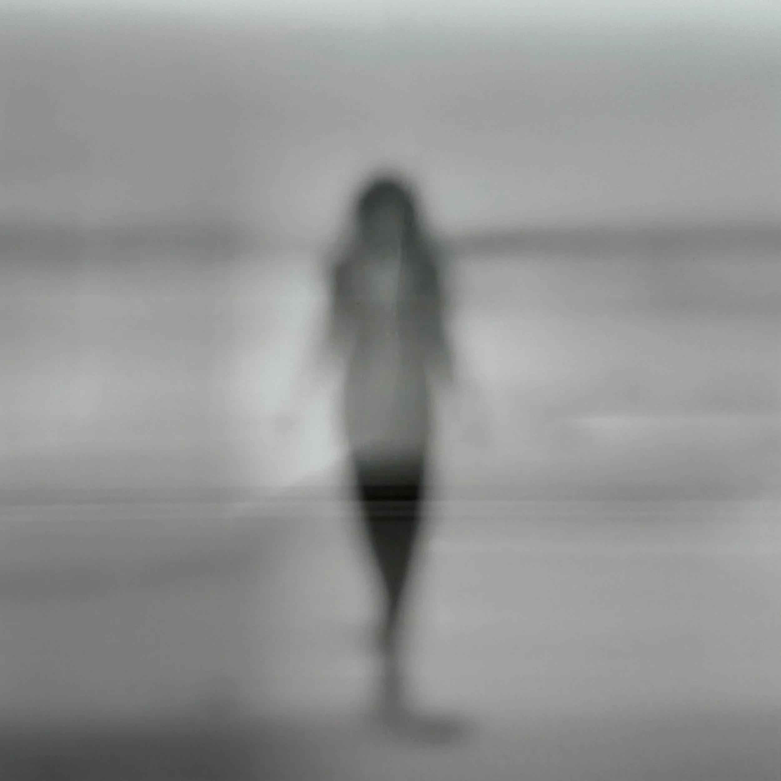 6edde40f-c683-498c-a082-a9b49ad4db23.jpg