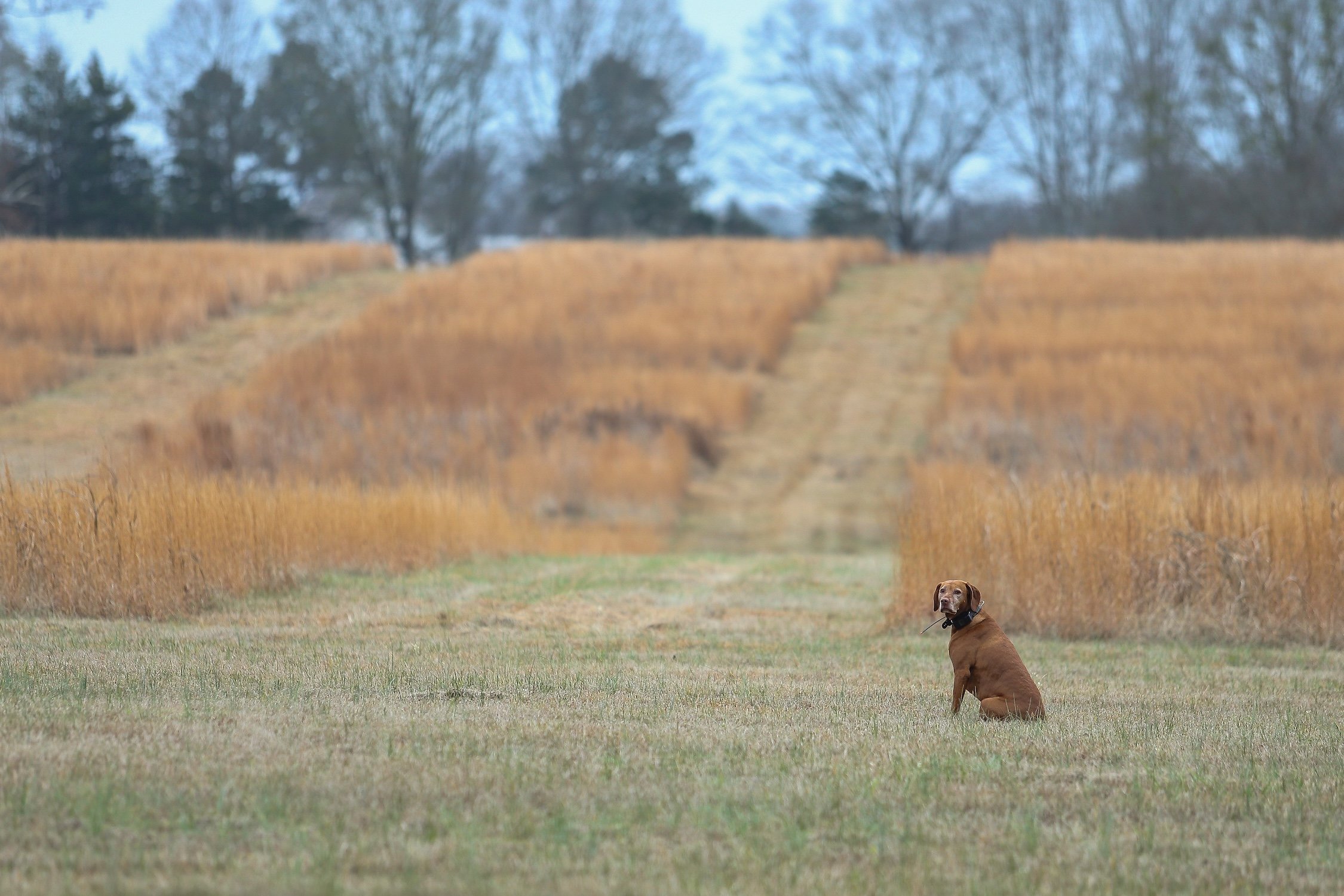 26.0103.Hunt-006 copy.jpg