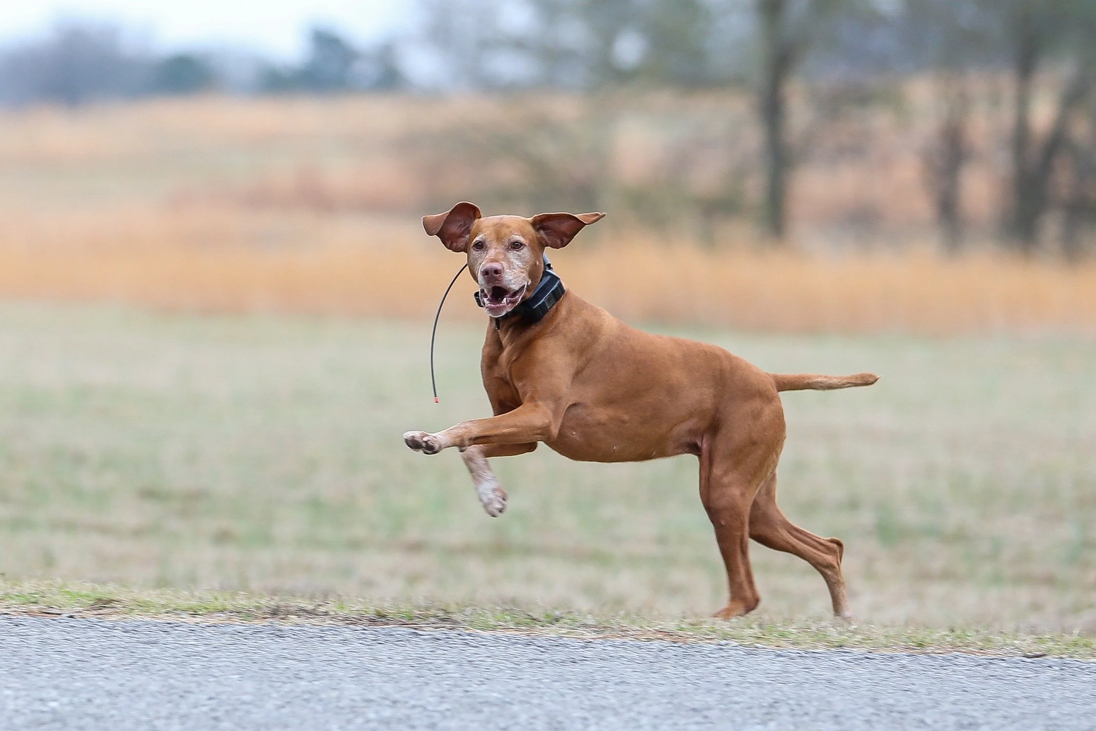 26.0103.Hunt-009 copy.jpg