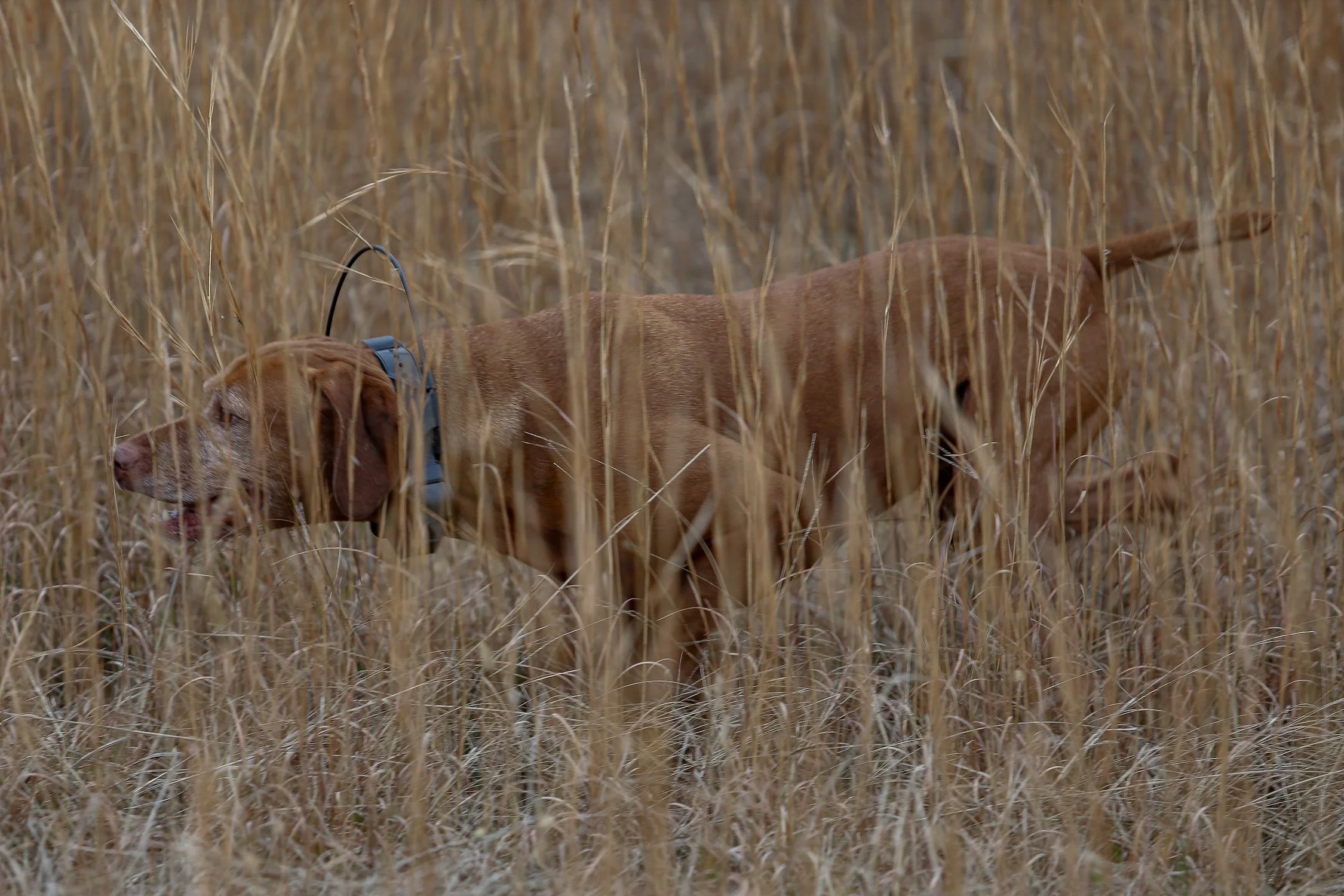 26.0103.Hunt-029 copy.jpg