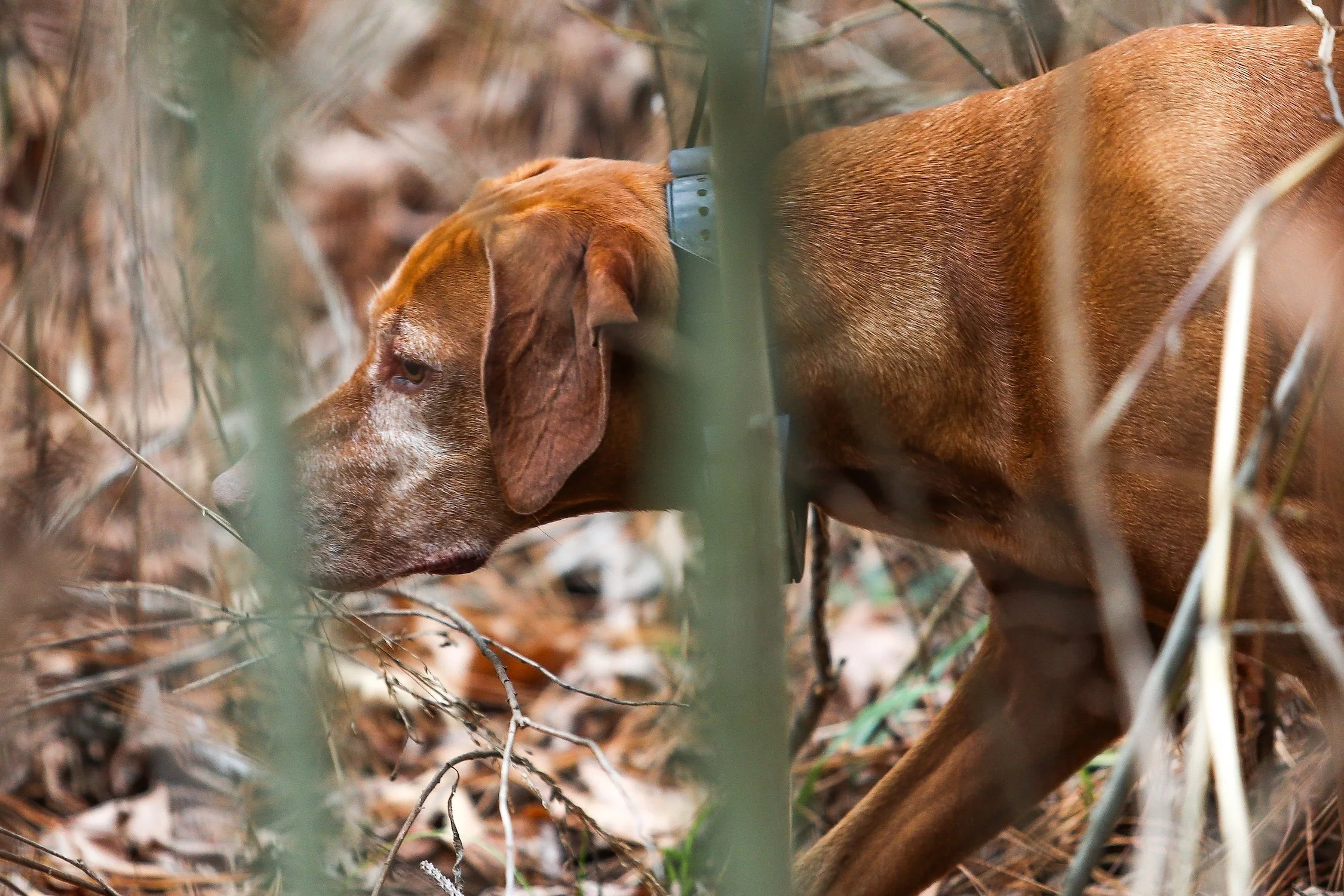 26.0103.Hunt-064 copy.jpg