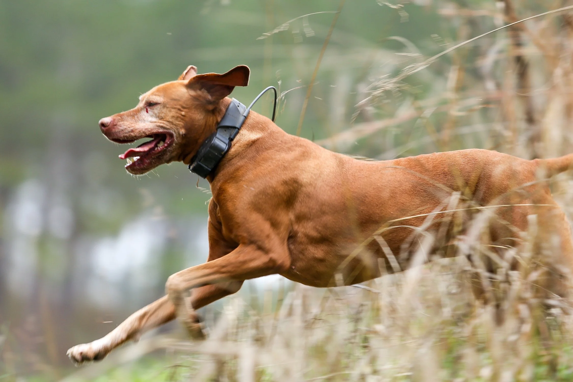 26.0103.Hunt-073 copy.jpg