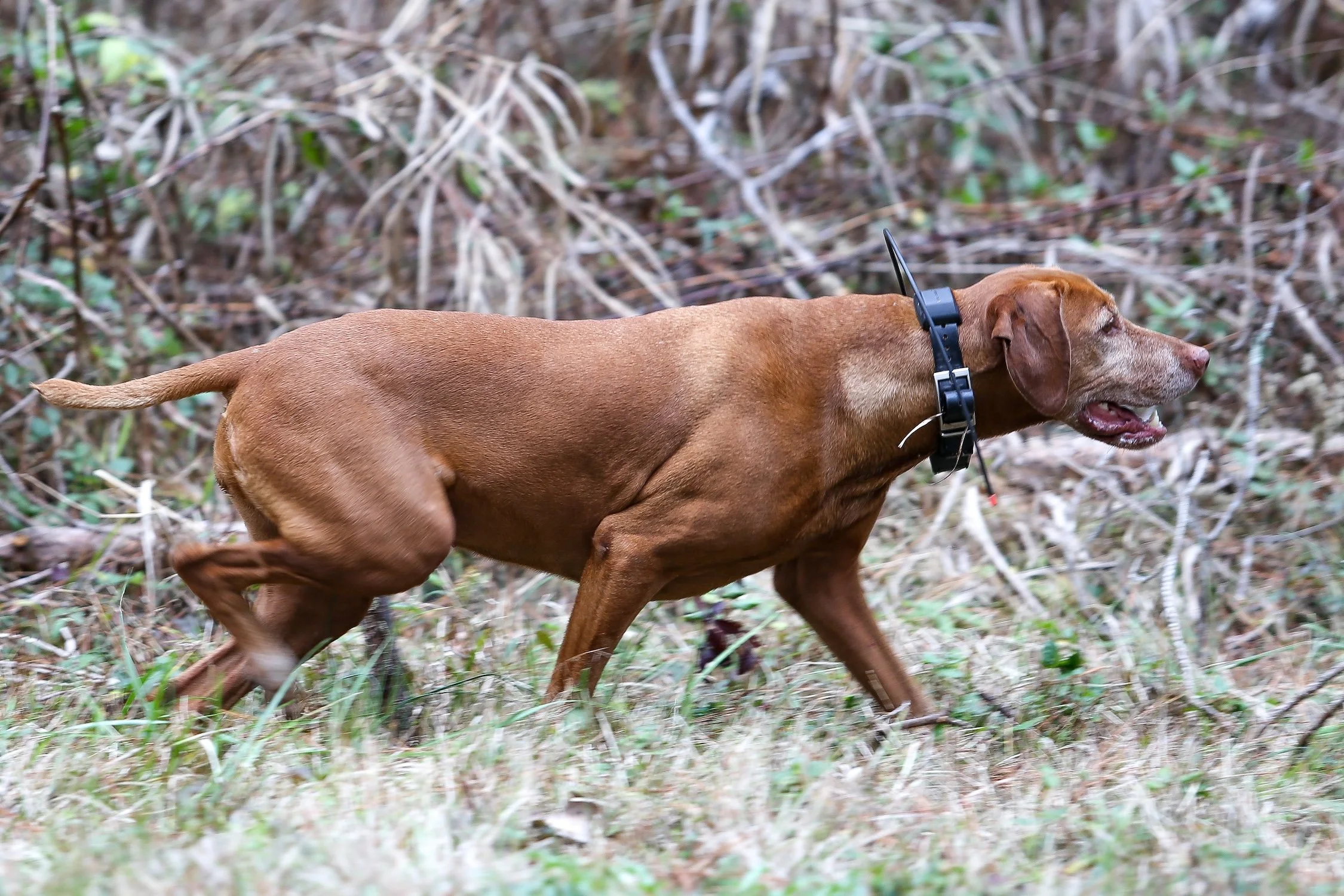 26.0103.Hunt-087 copy.jpg