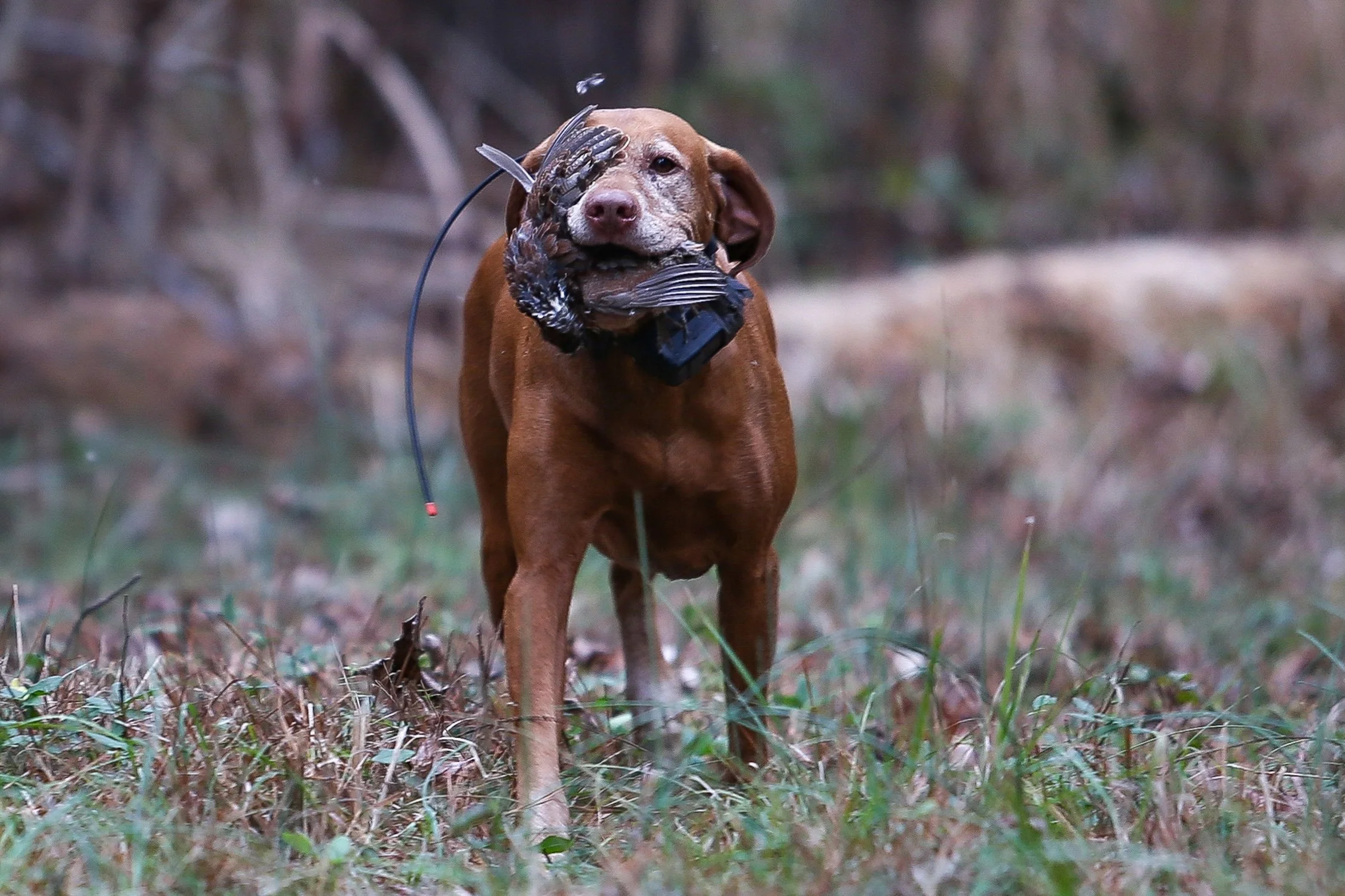 26.0103.Hunt-089 copy.jpg