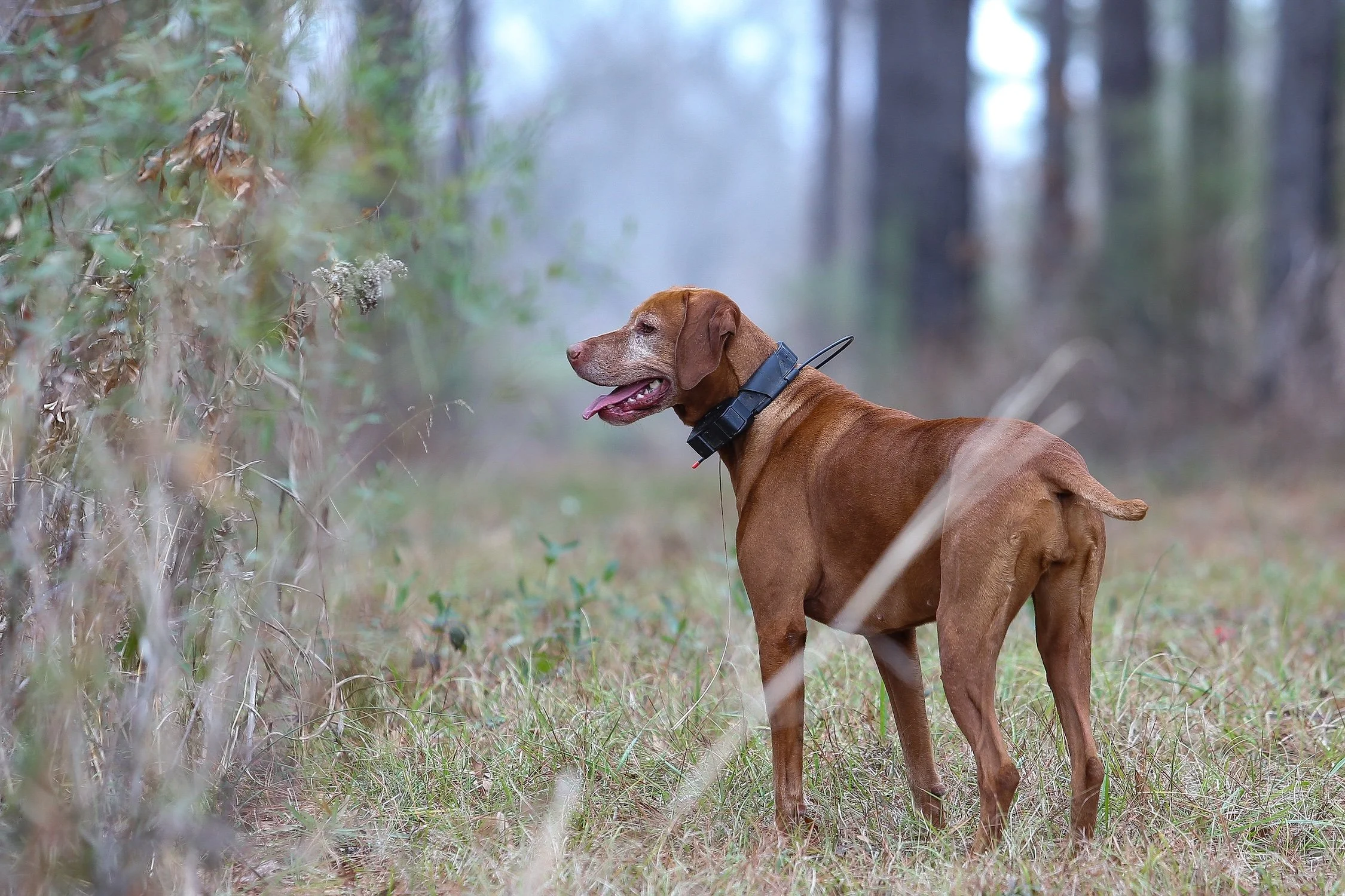 26.0103.Hunt-096 copy.jpg