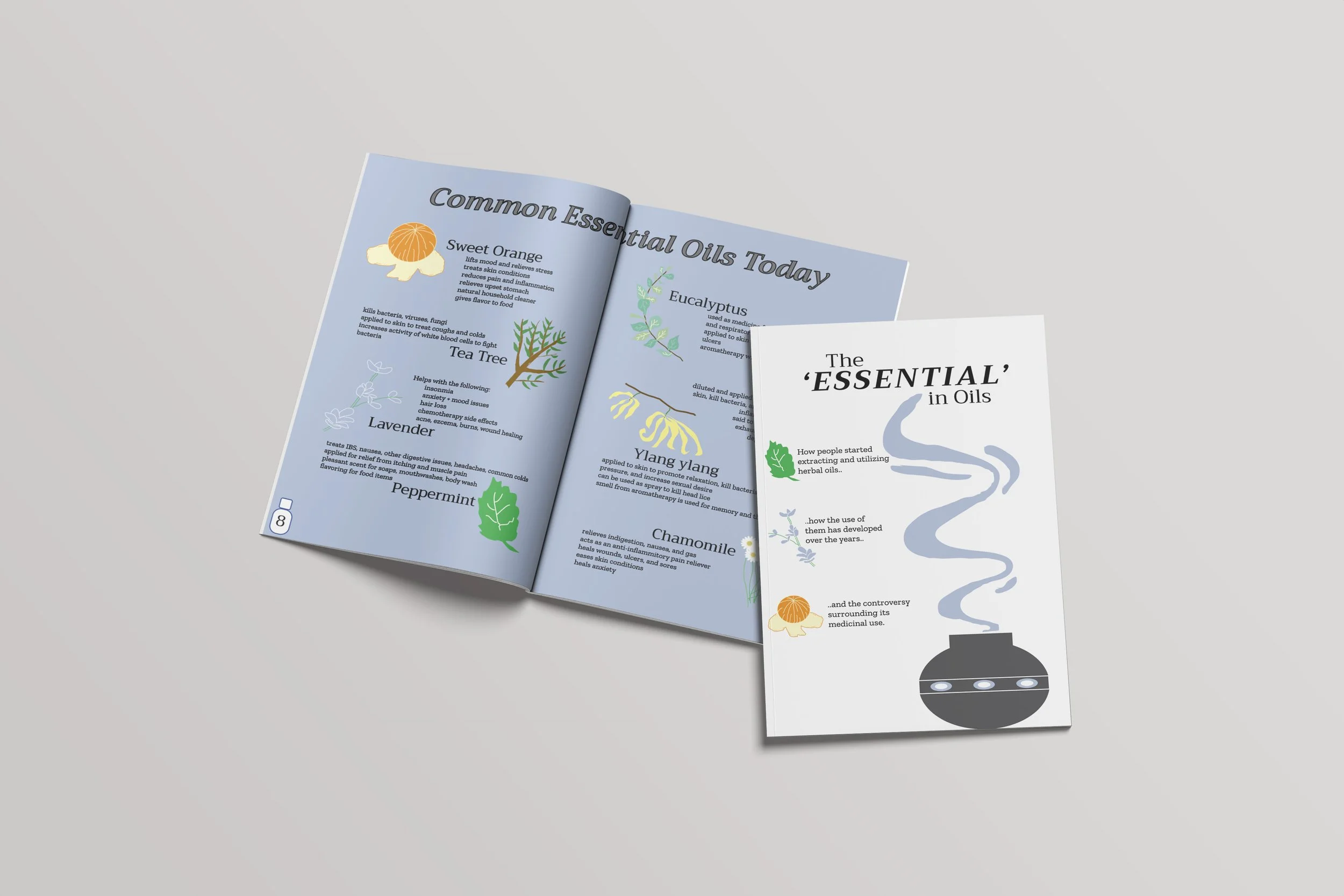 EOs booklet portfolio mockup (1) 2.jpg