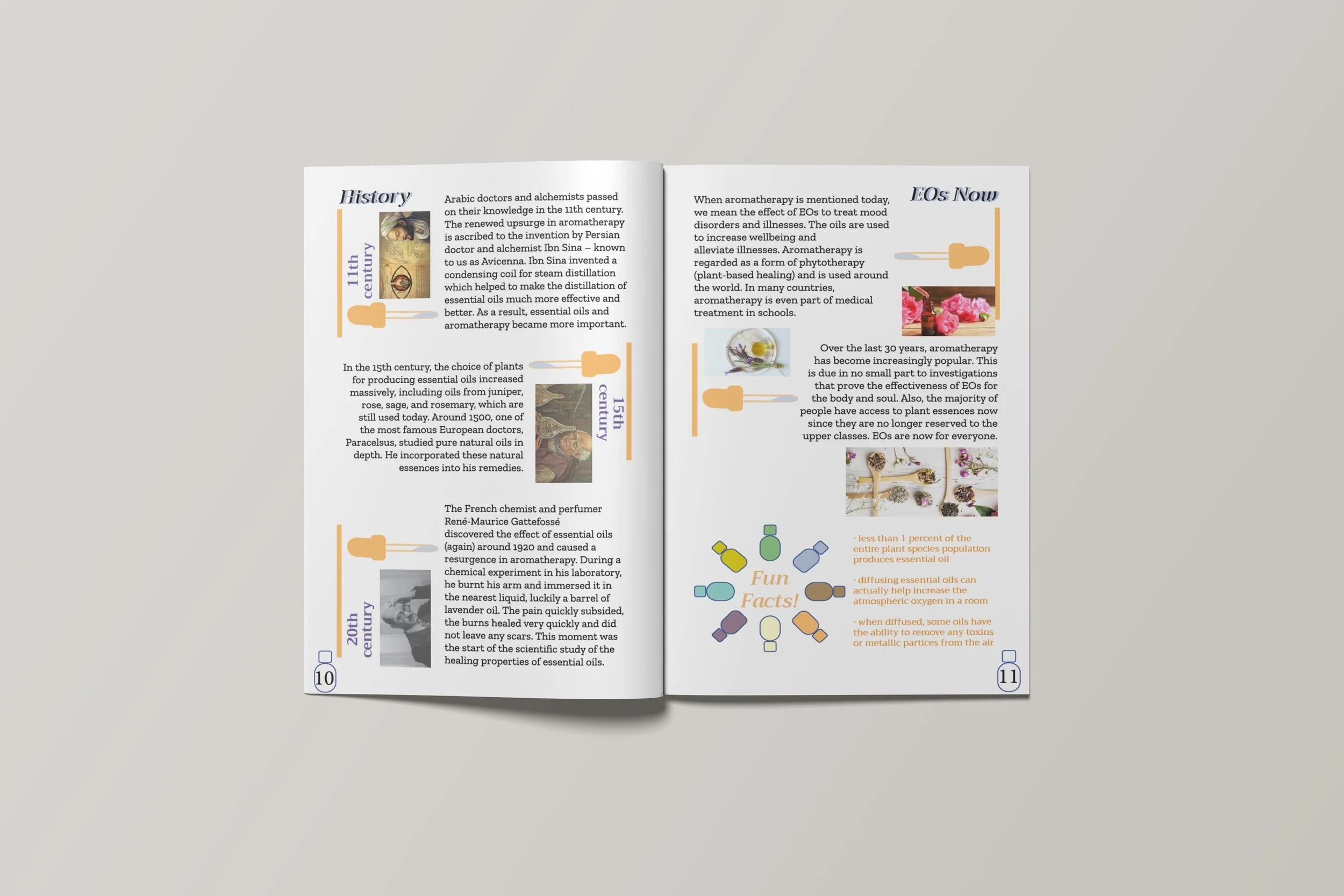 EOs booklet pg 10 11.jpg