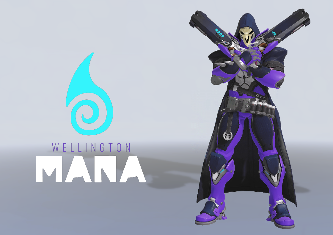 Overwatch League Team Branding