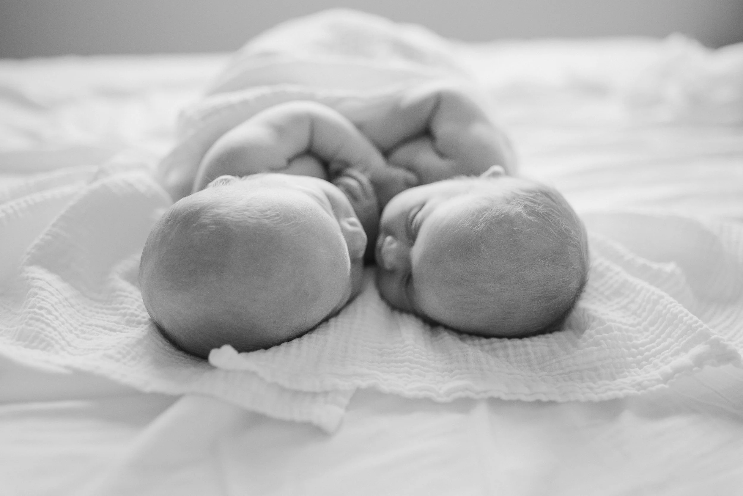 012026_BushellNewborns_Bracknell_FS_A6A9774-2.jpg