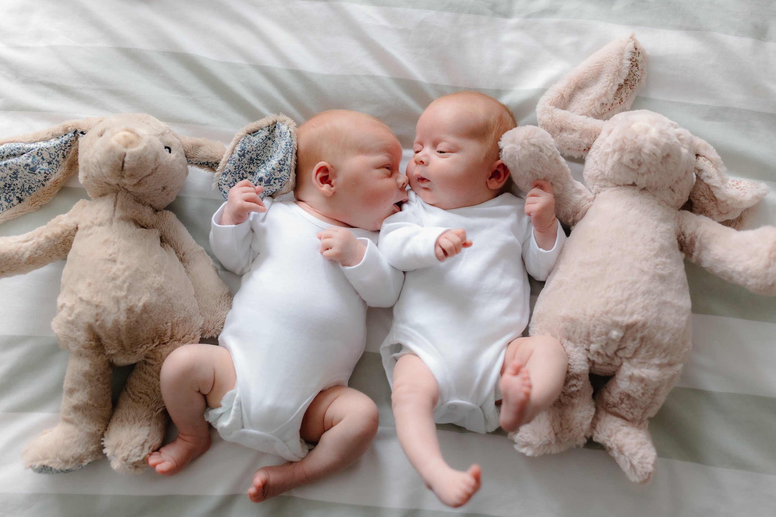 Bushell (newborn)