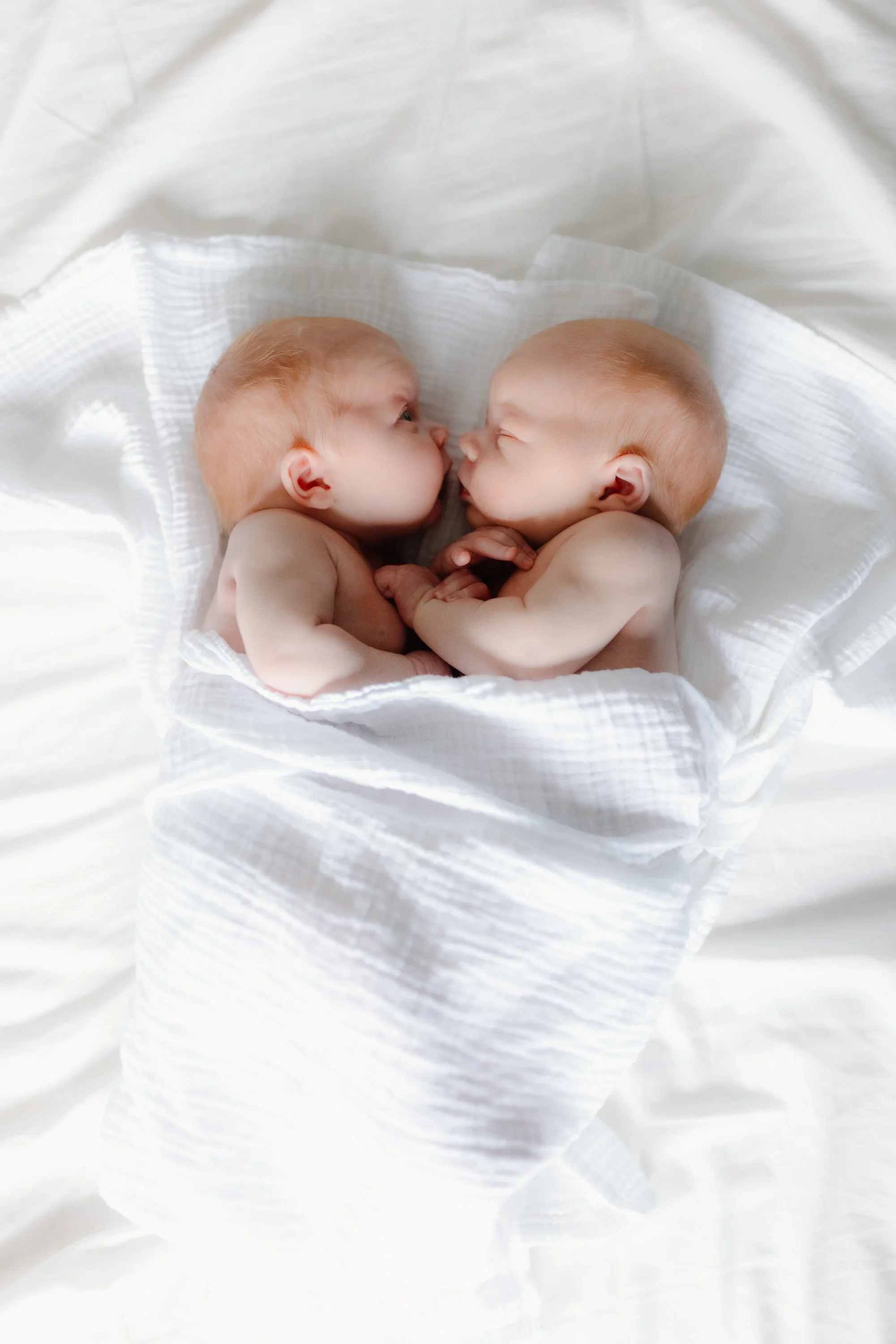 012026_BushellNewborns_Bracknell_FS_A6A9761.jpg