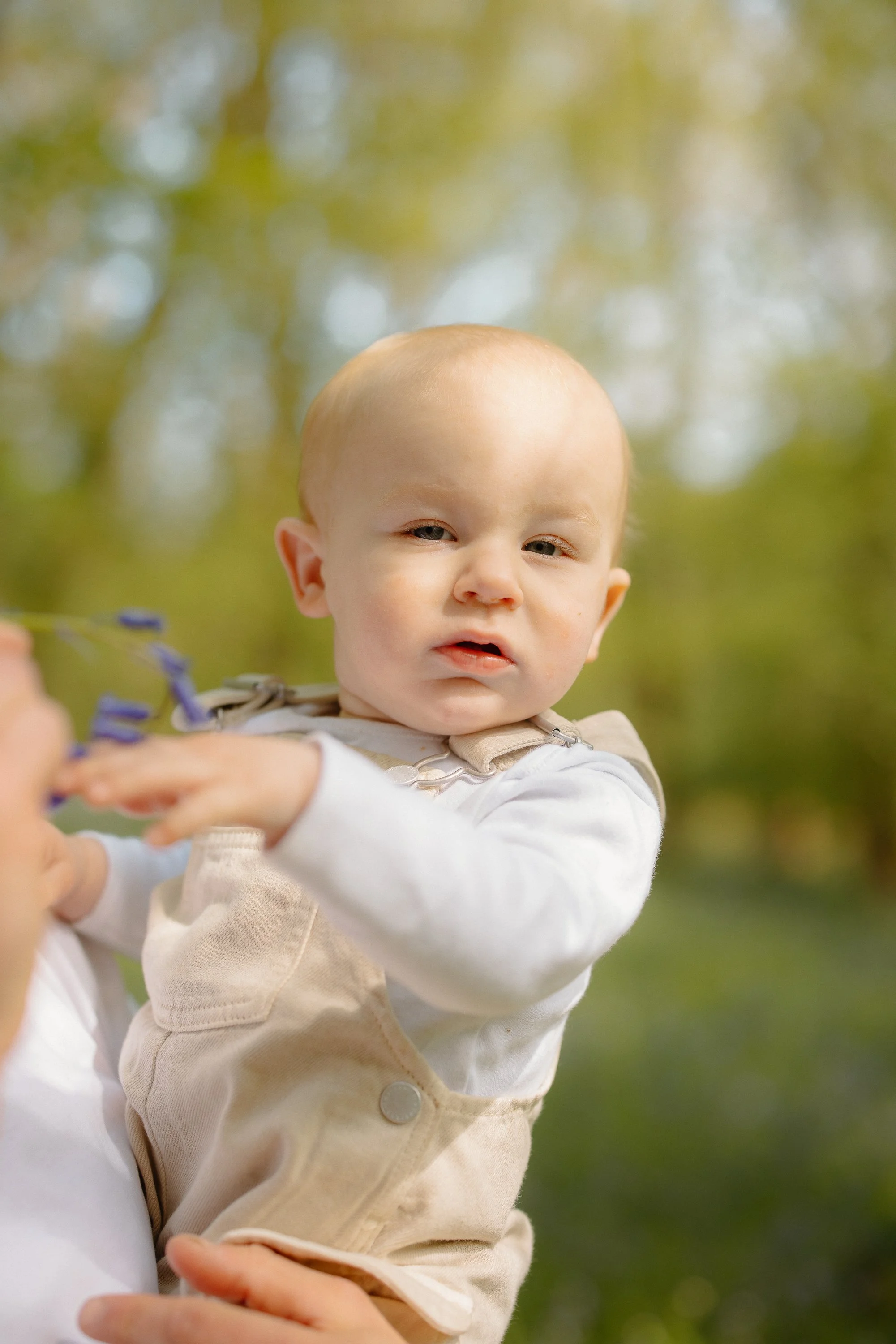 052026_Bluebells_William_Warfield_FS_D7A1314.jpg