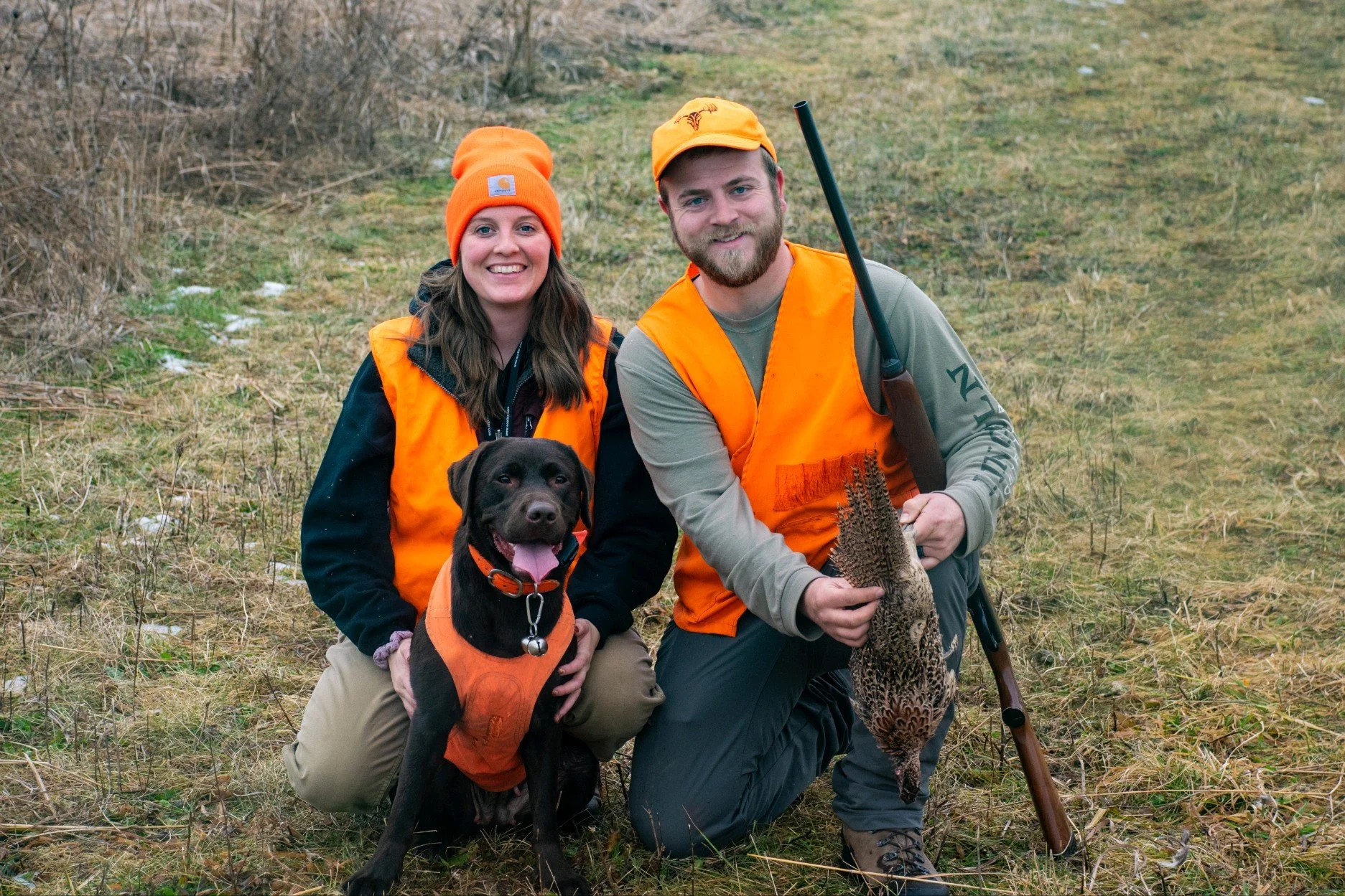 Gun Dog Training Triple Tree Kennels gun-dog-training-triple-tree-kennels