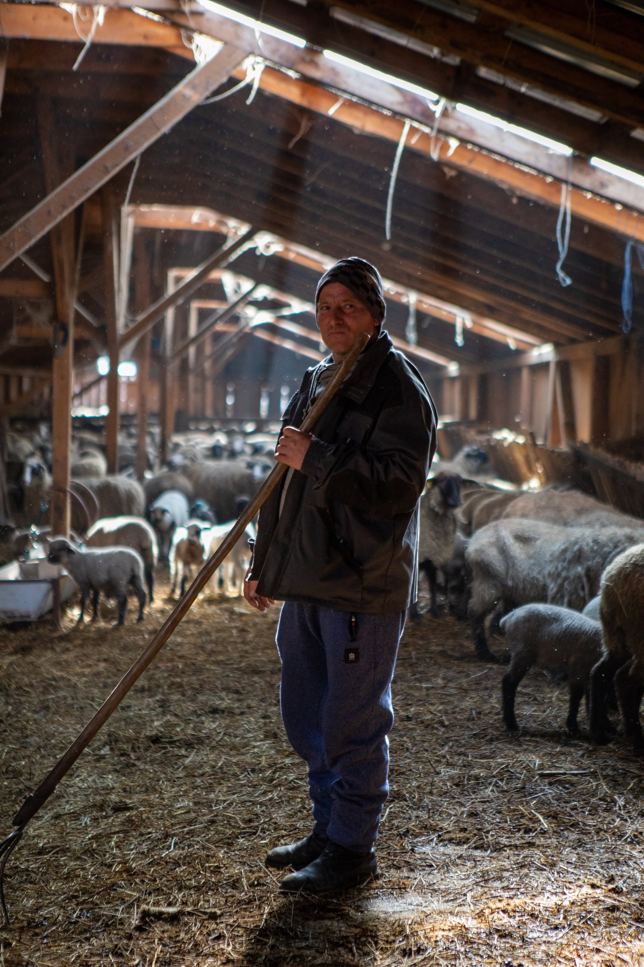 This Romanian shepherd took us in and offered us some questionable home-made liquor. 