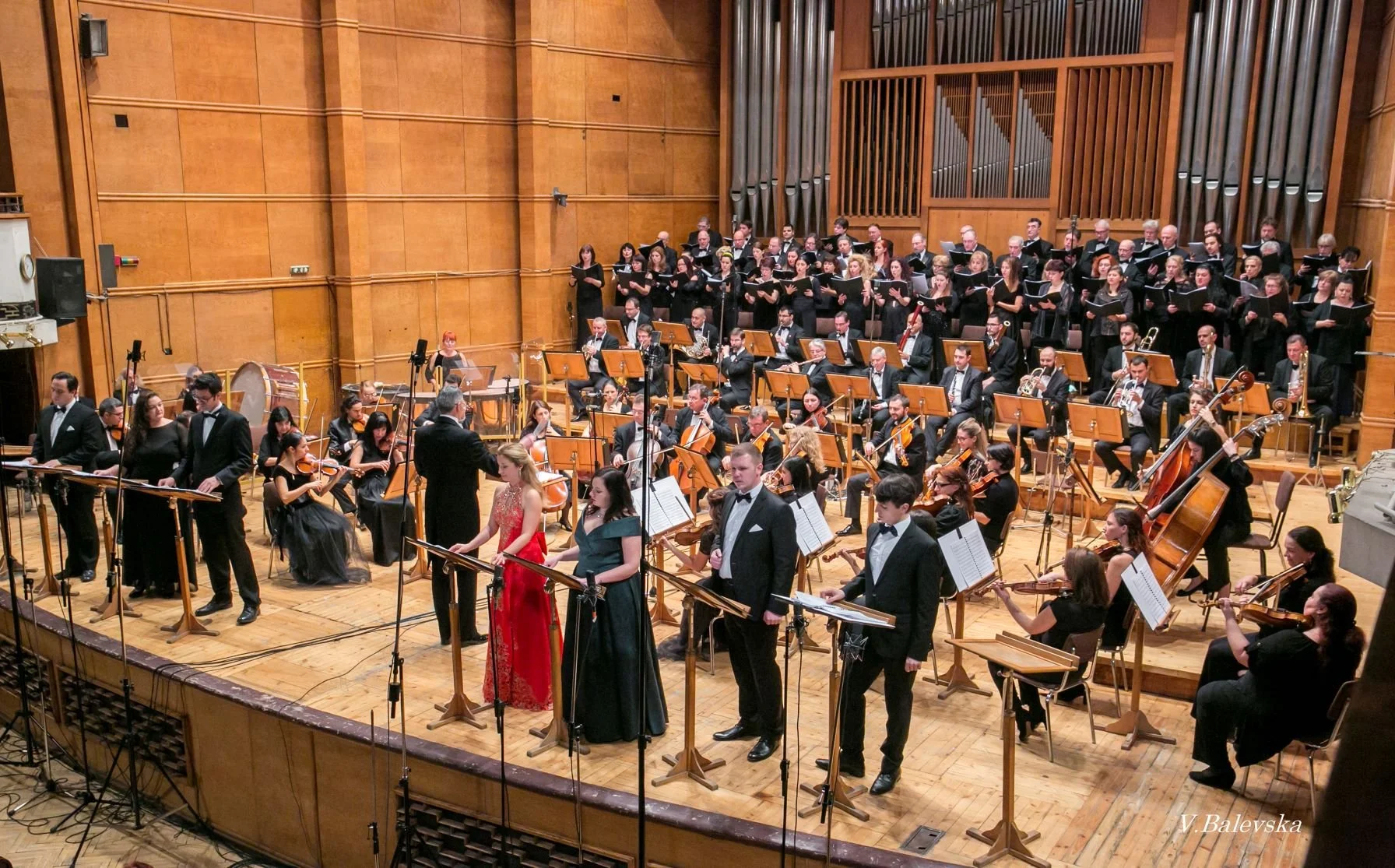 Gallery — Dario Salvi