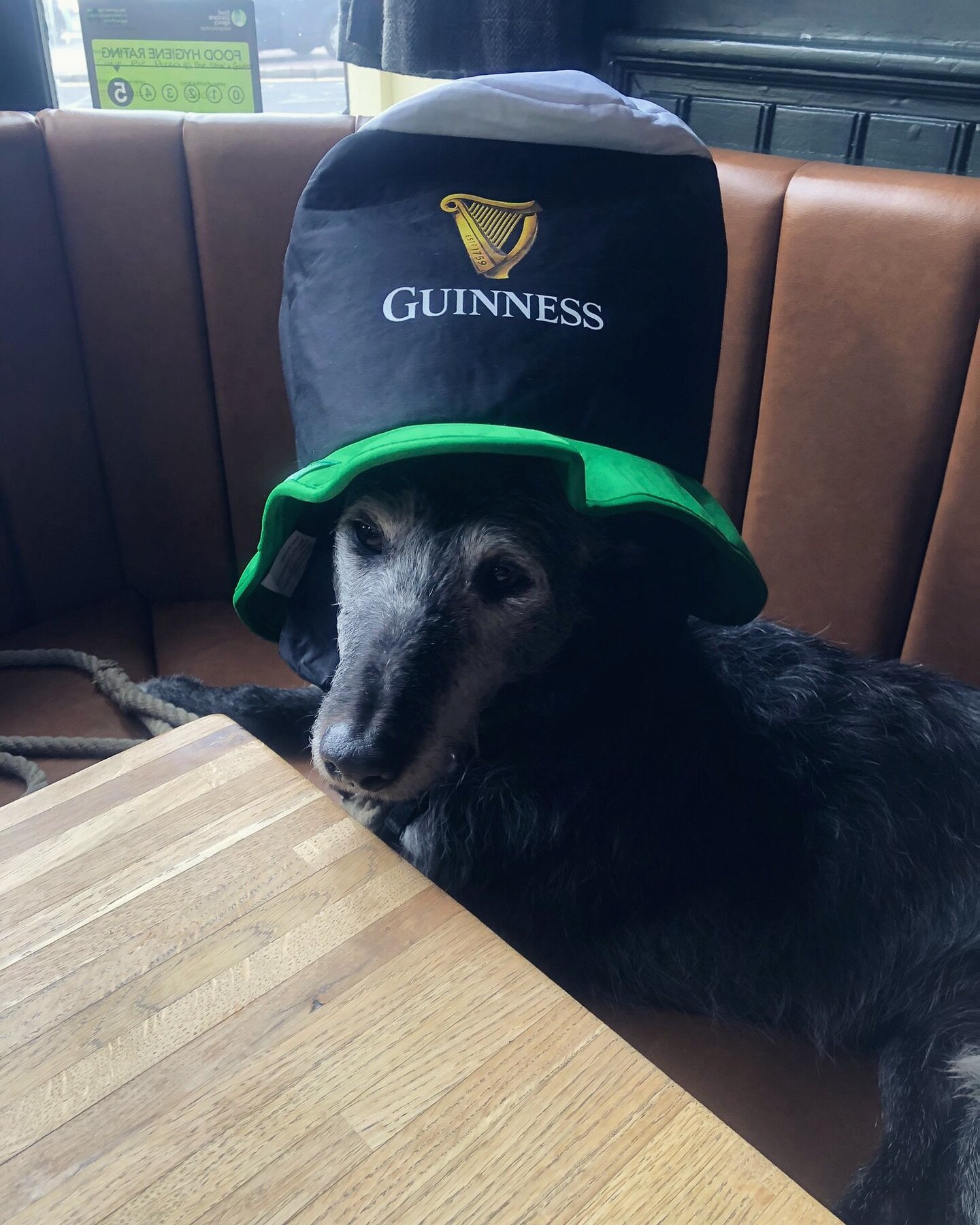 Have you all recovered from Paddy&rsquo;s Day weekend yet?🍀🍻

Good, because we&rsquo;re back with more beer, @cutiepiesandfries and fun from 4pm! 💫

#BrightonDogs #BrightonPub #BrightonPubs #DogsInBrighton #Brighton