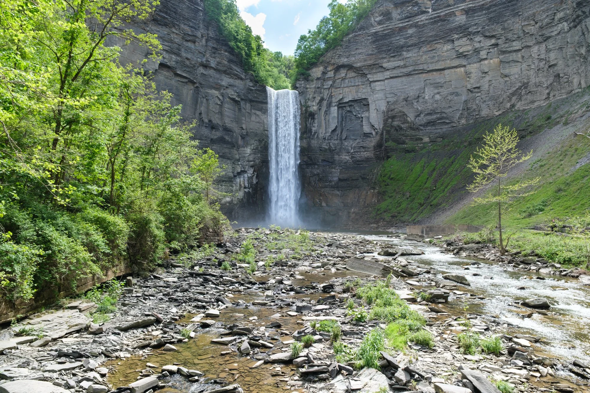 DSCF2659.jpg