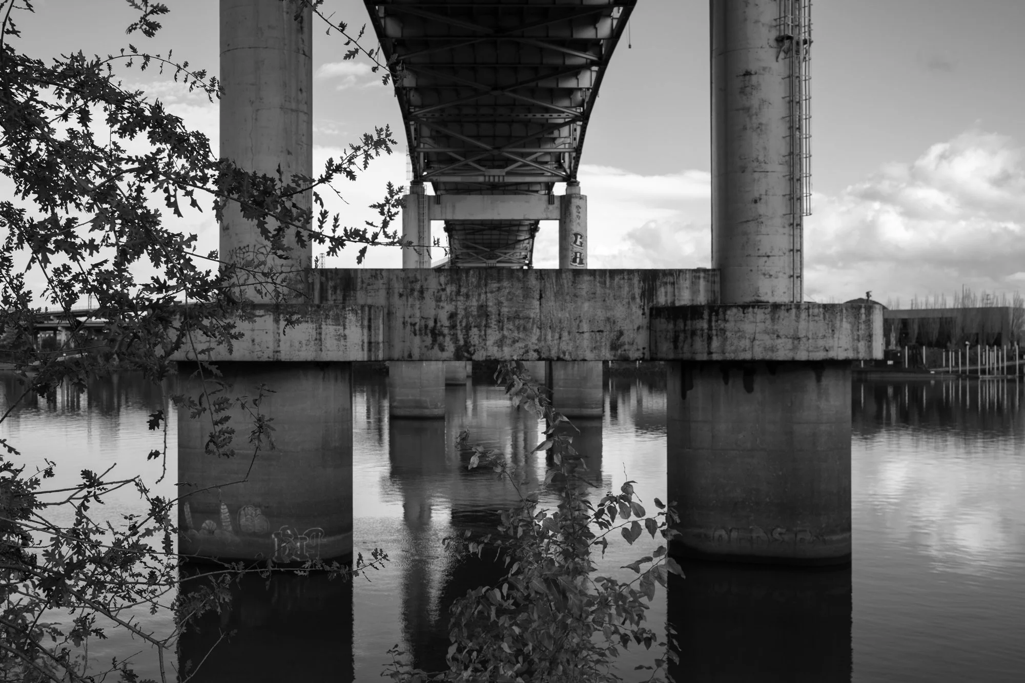 DSCF0044-2.jpg
