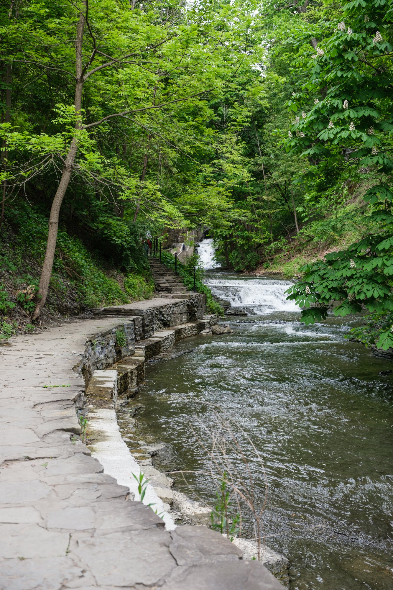 DSCF2572.jpg