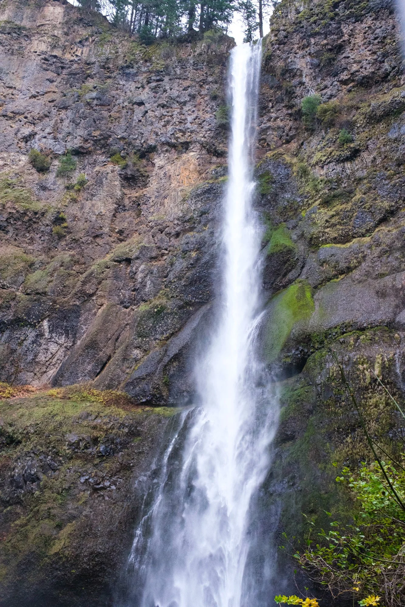 DSCF0021-2.jpg