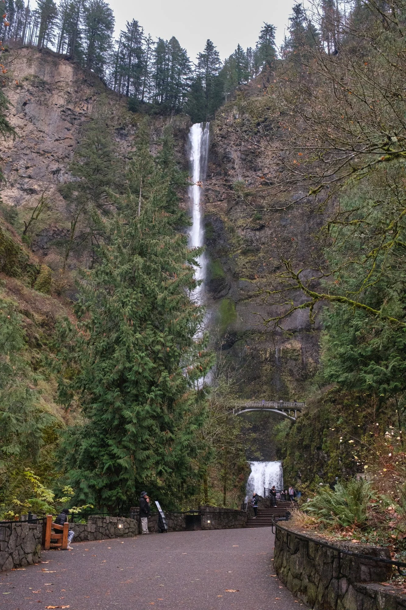 DSCF0001-2.jpg