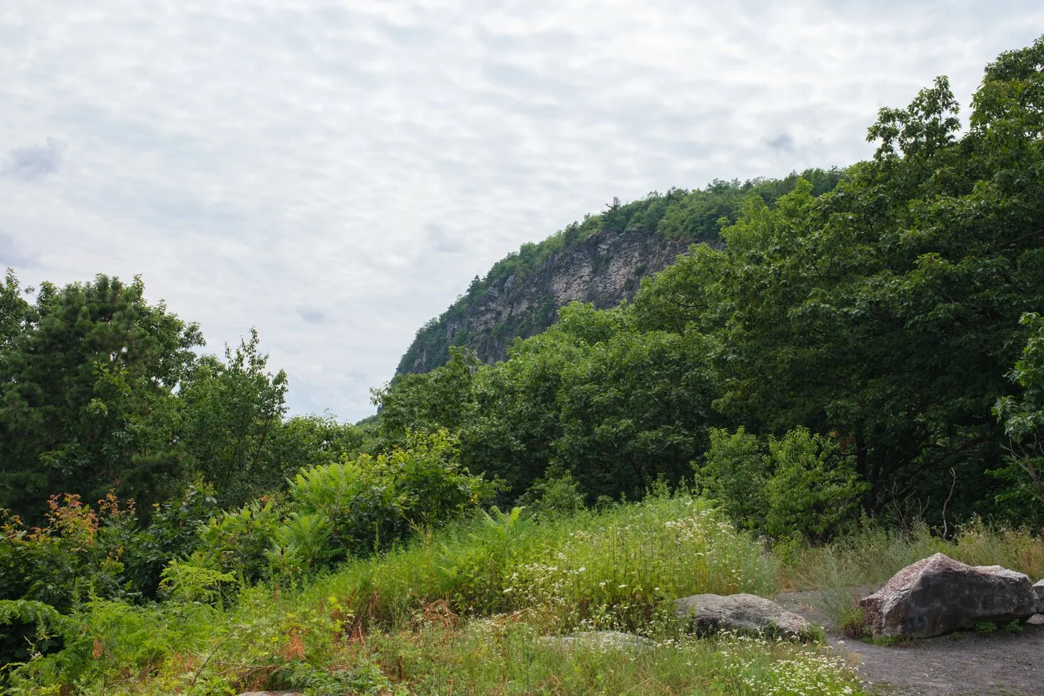 DSCF0093.jpg