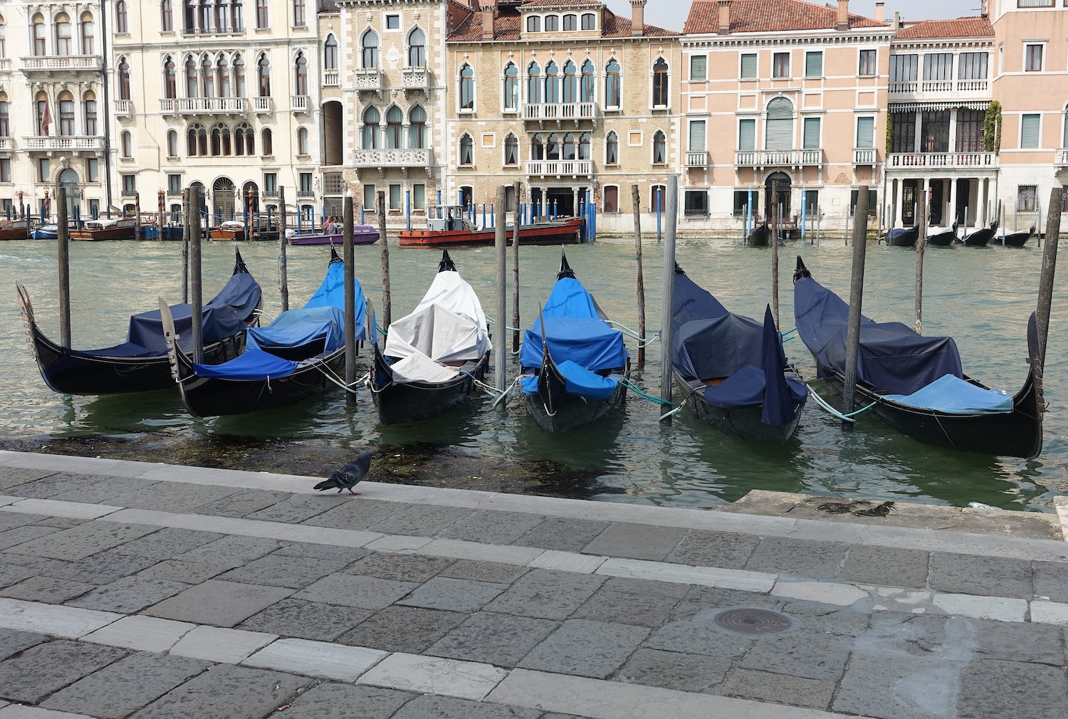 Venice 2017