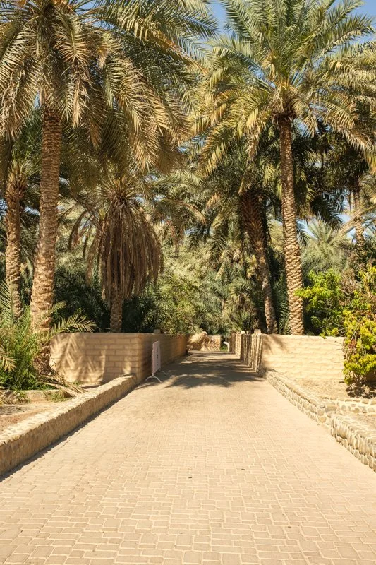 DSCF2850.jpg