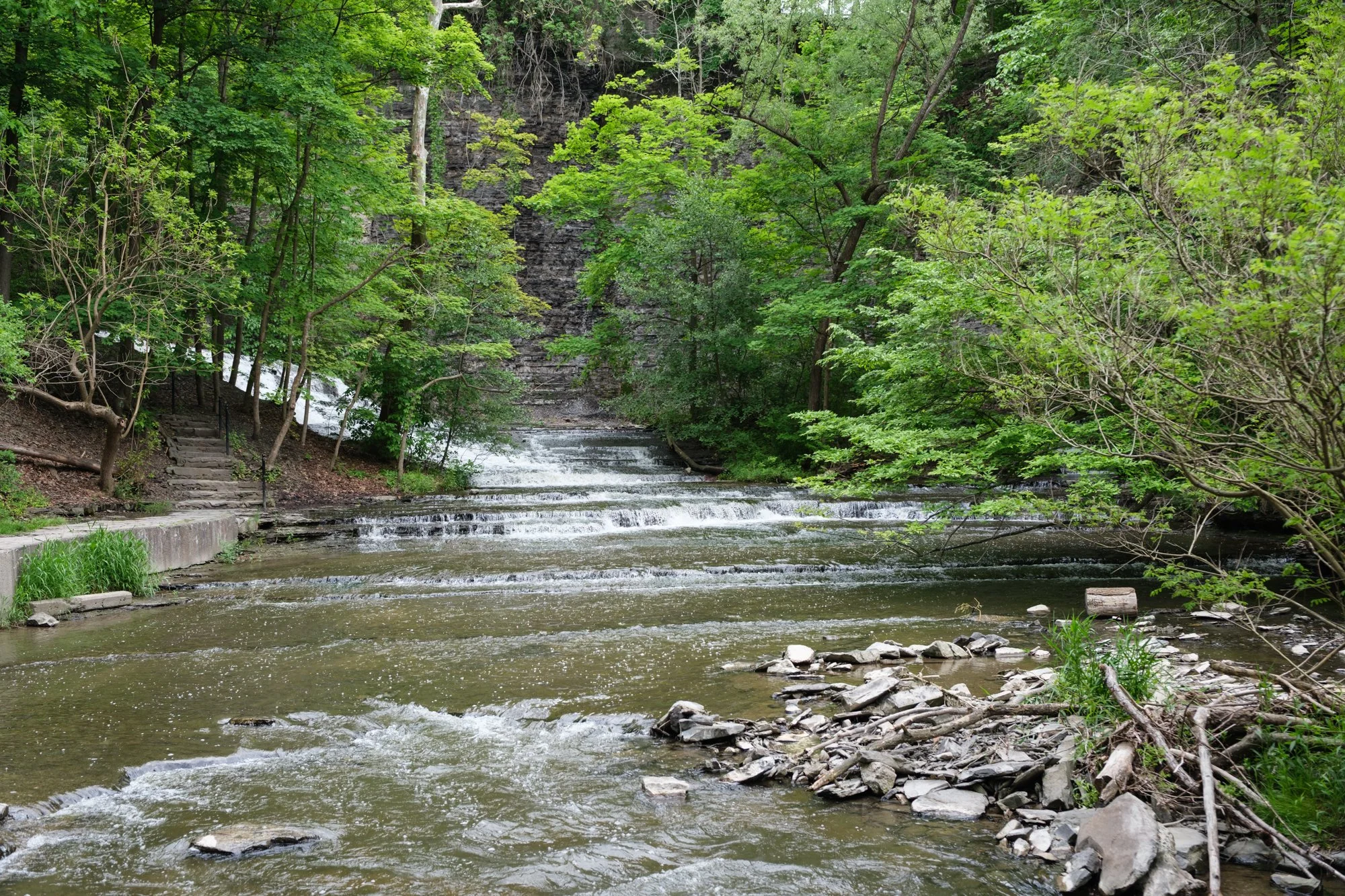 DSCF2570.jpg