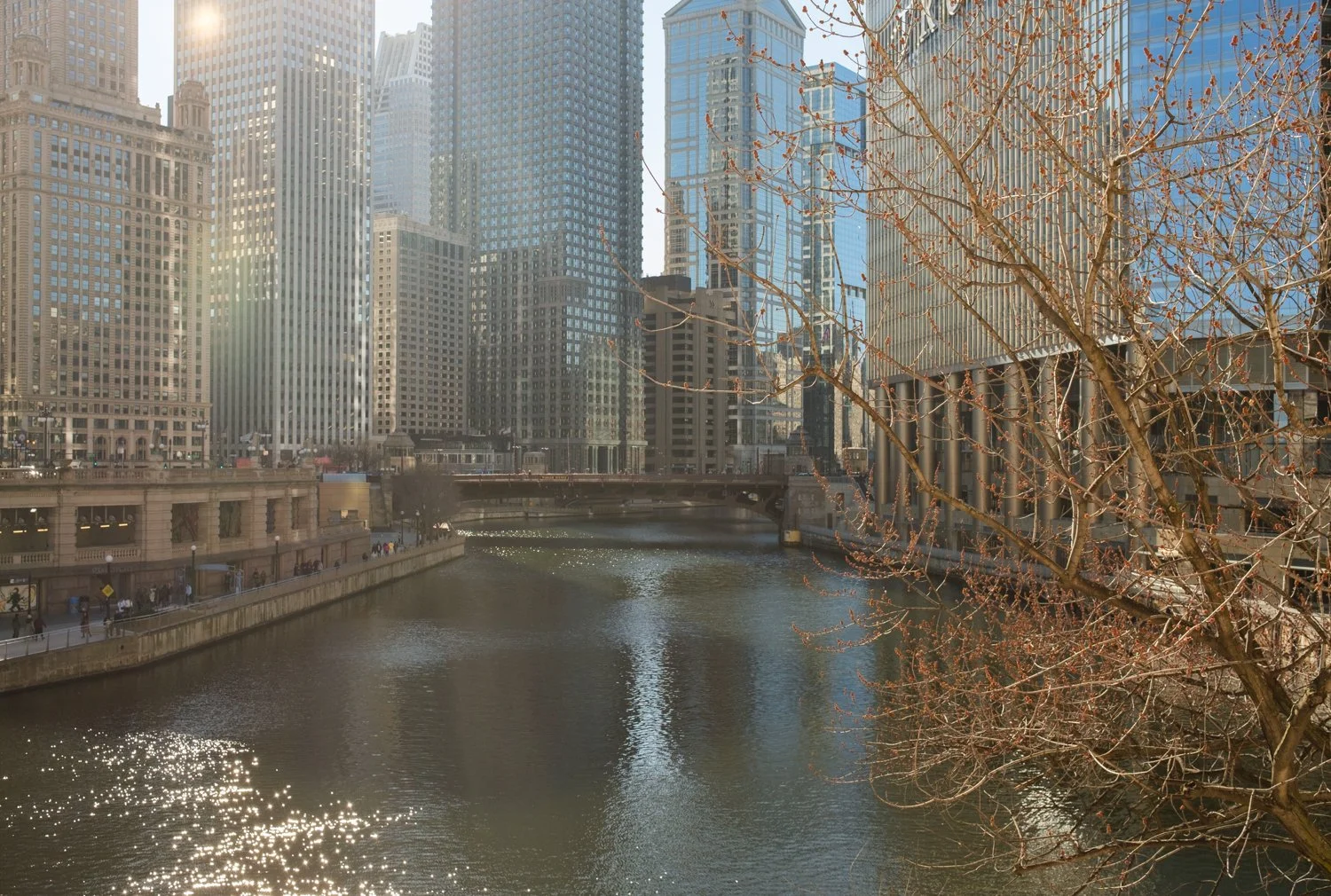 DSCF2977.jpg