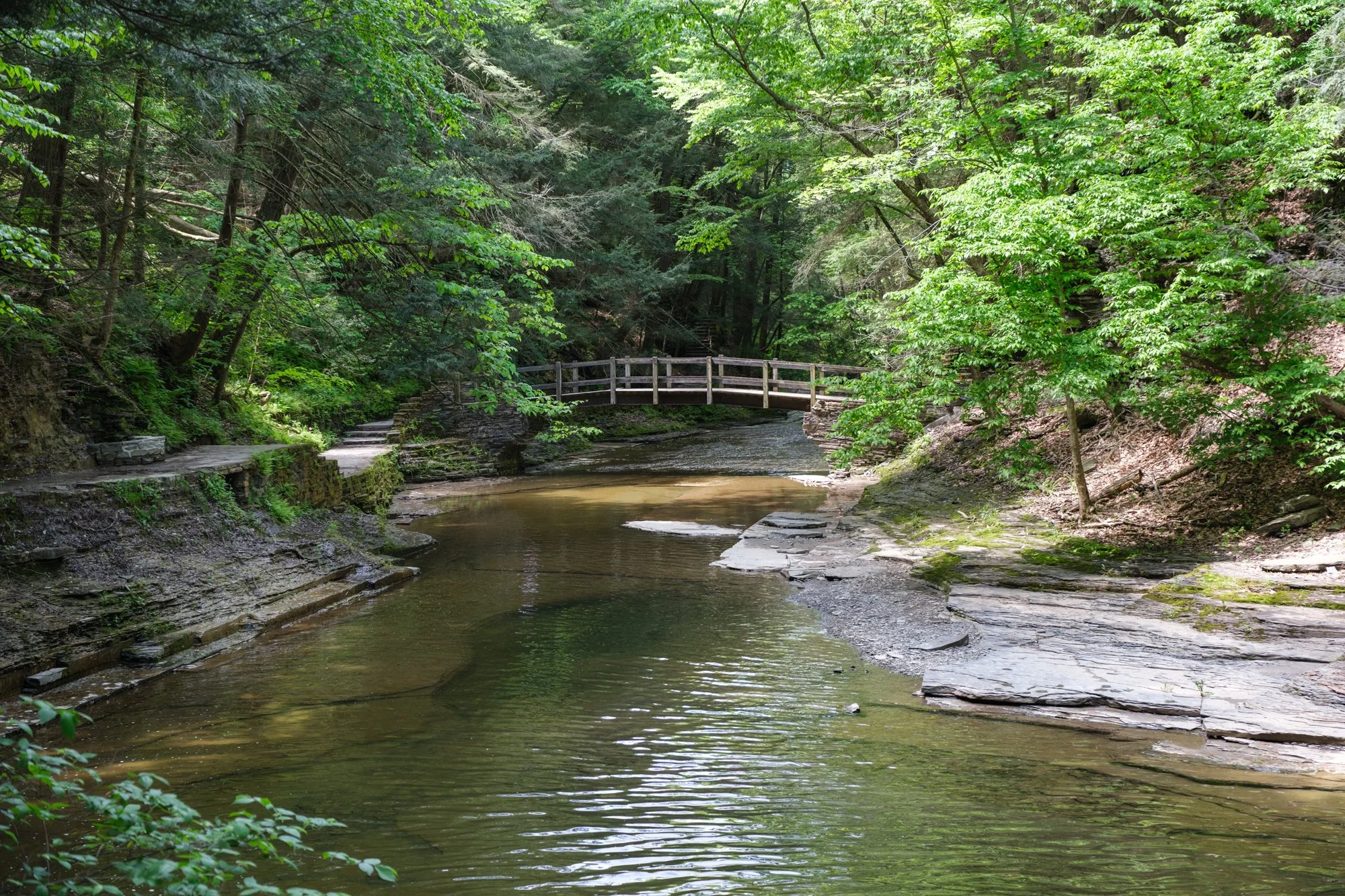 DSCF2637.jpg
