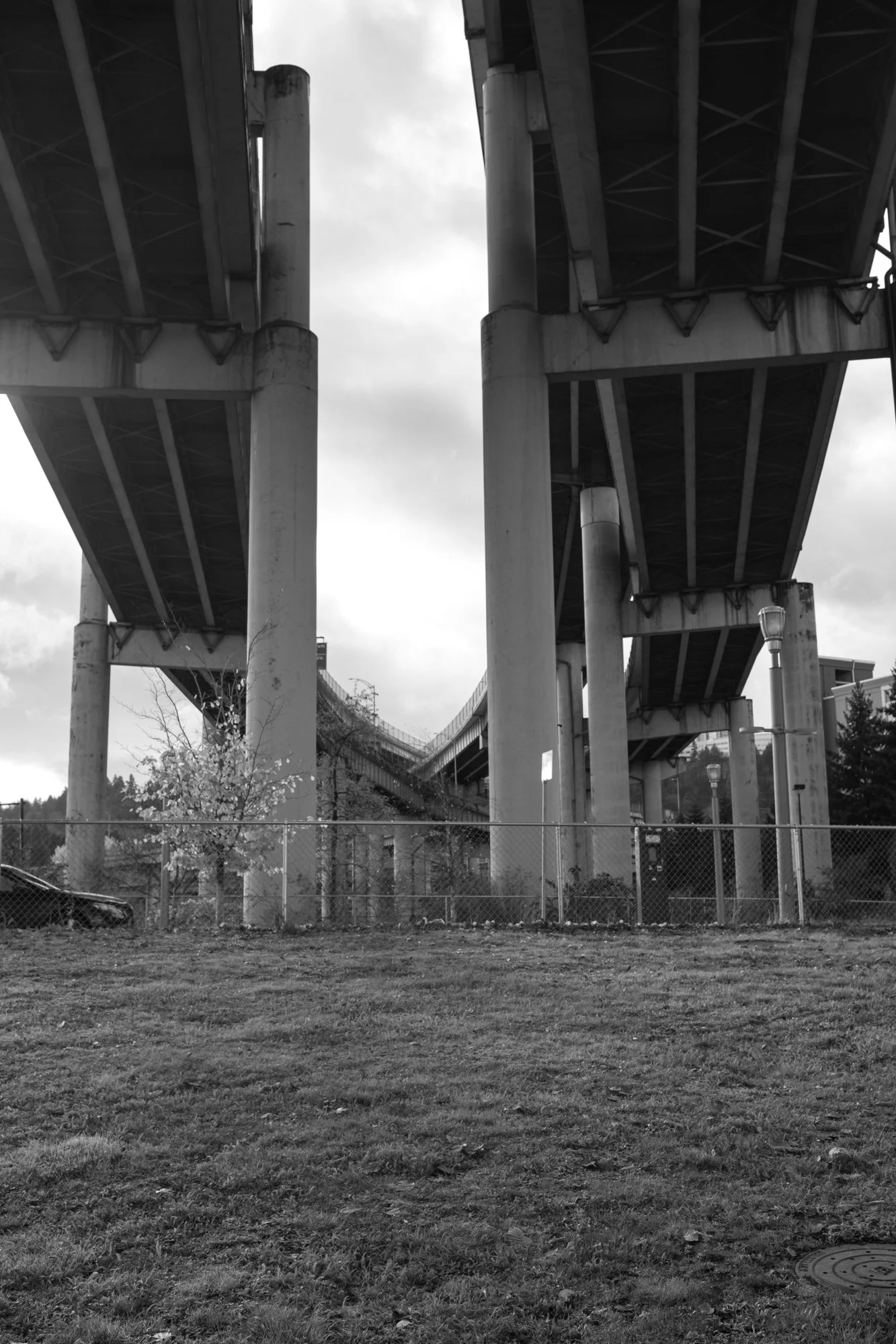 DSCF0046-2.jpg