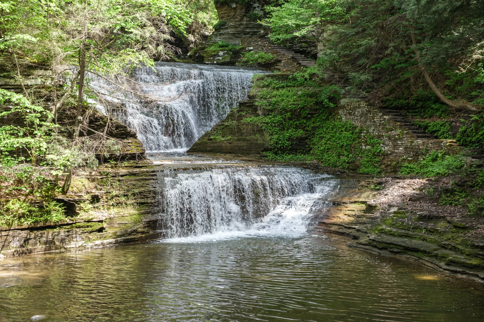 DSCF2635.jpg